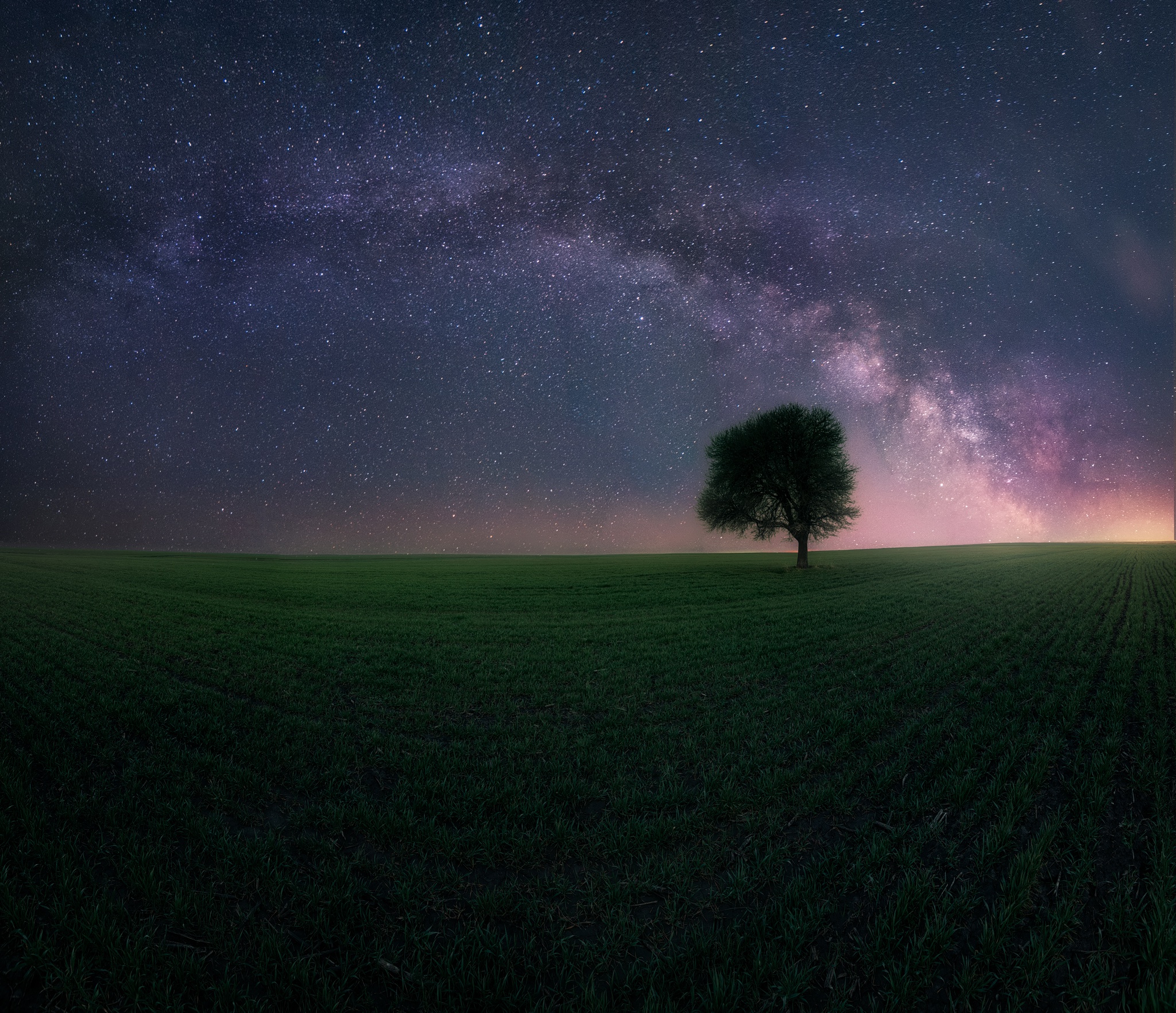 Milky Way Tree Field Wallpapers