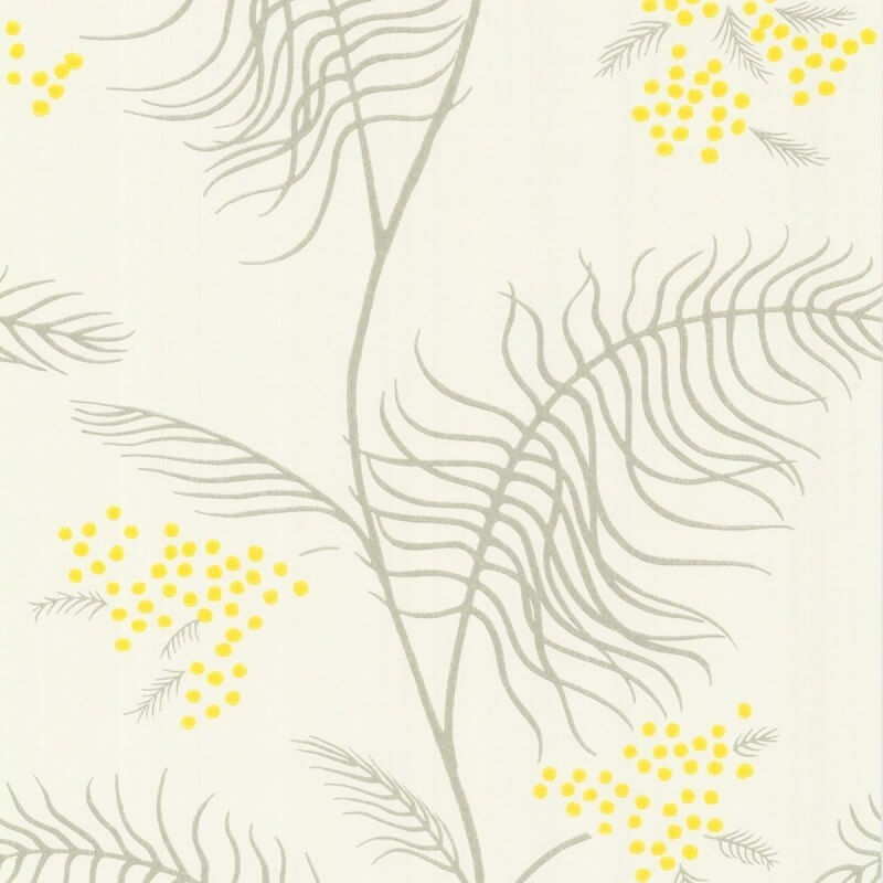 Mimosa Wallpapers