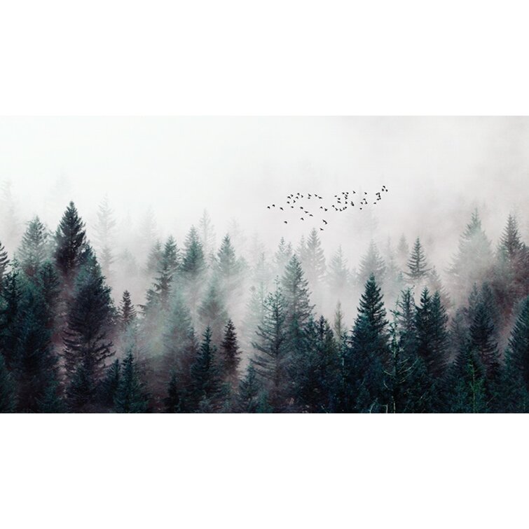 Misty Foggy Forest Wallpapers