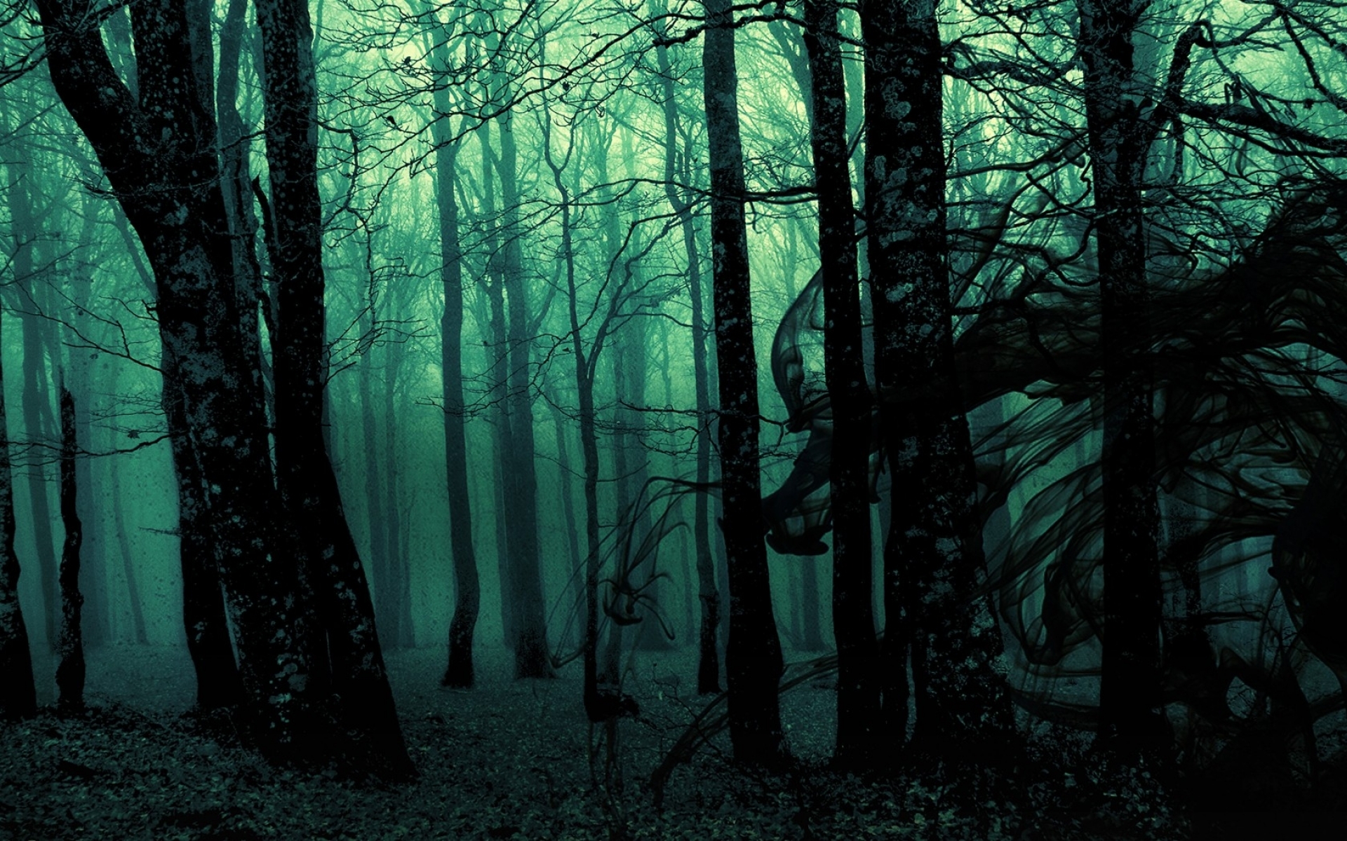 Misty Forest Photography 2021 Wallpapers