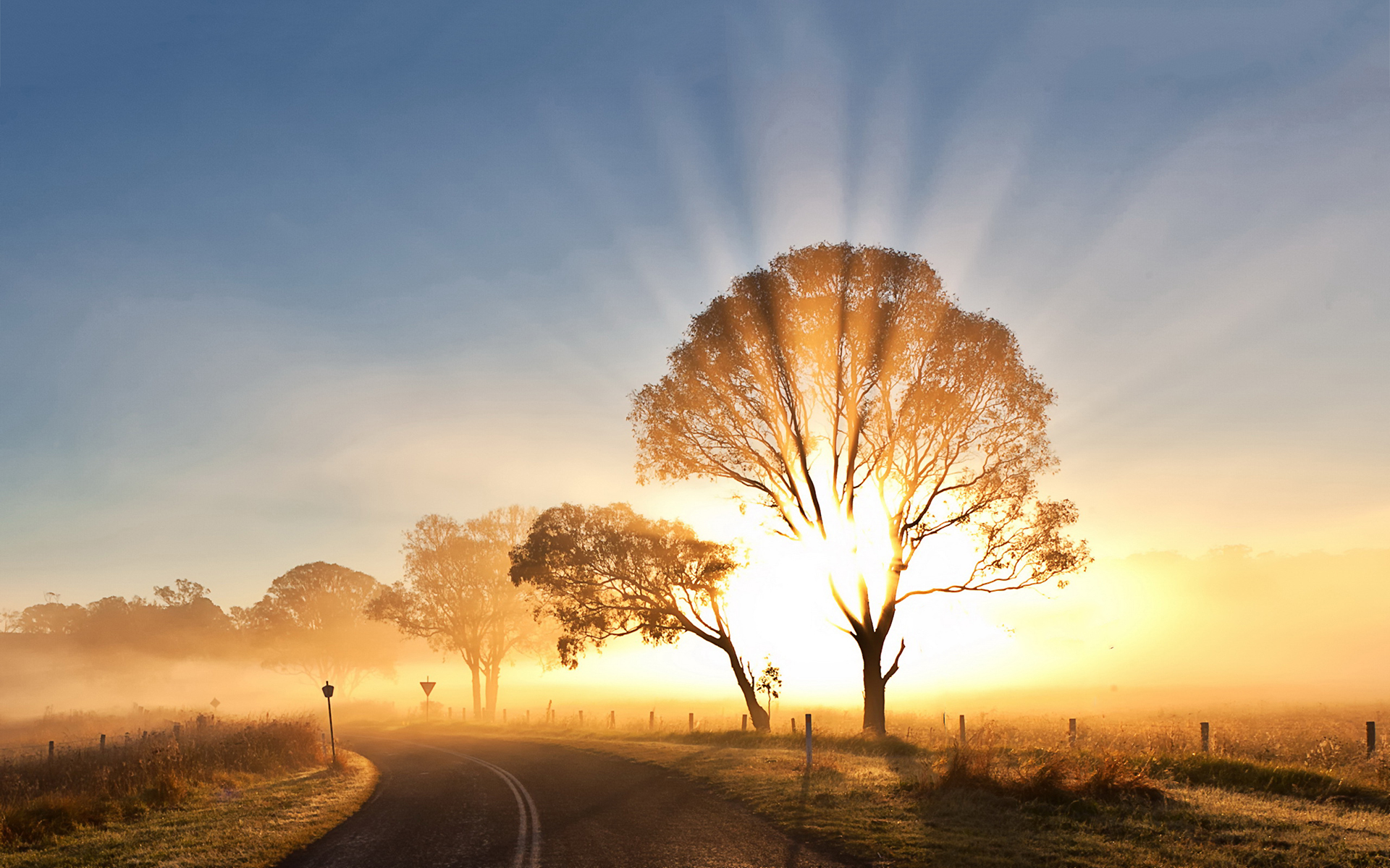 Misty Morning Sunrise 5K Wallpapers