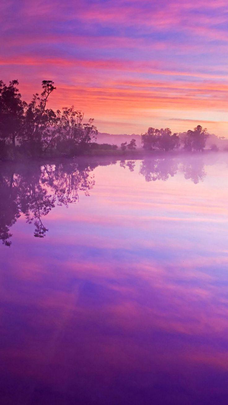 Misty Pink Sunset Wallpapers