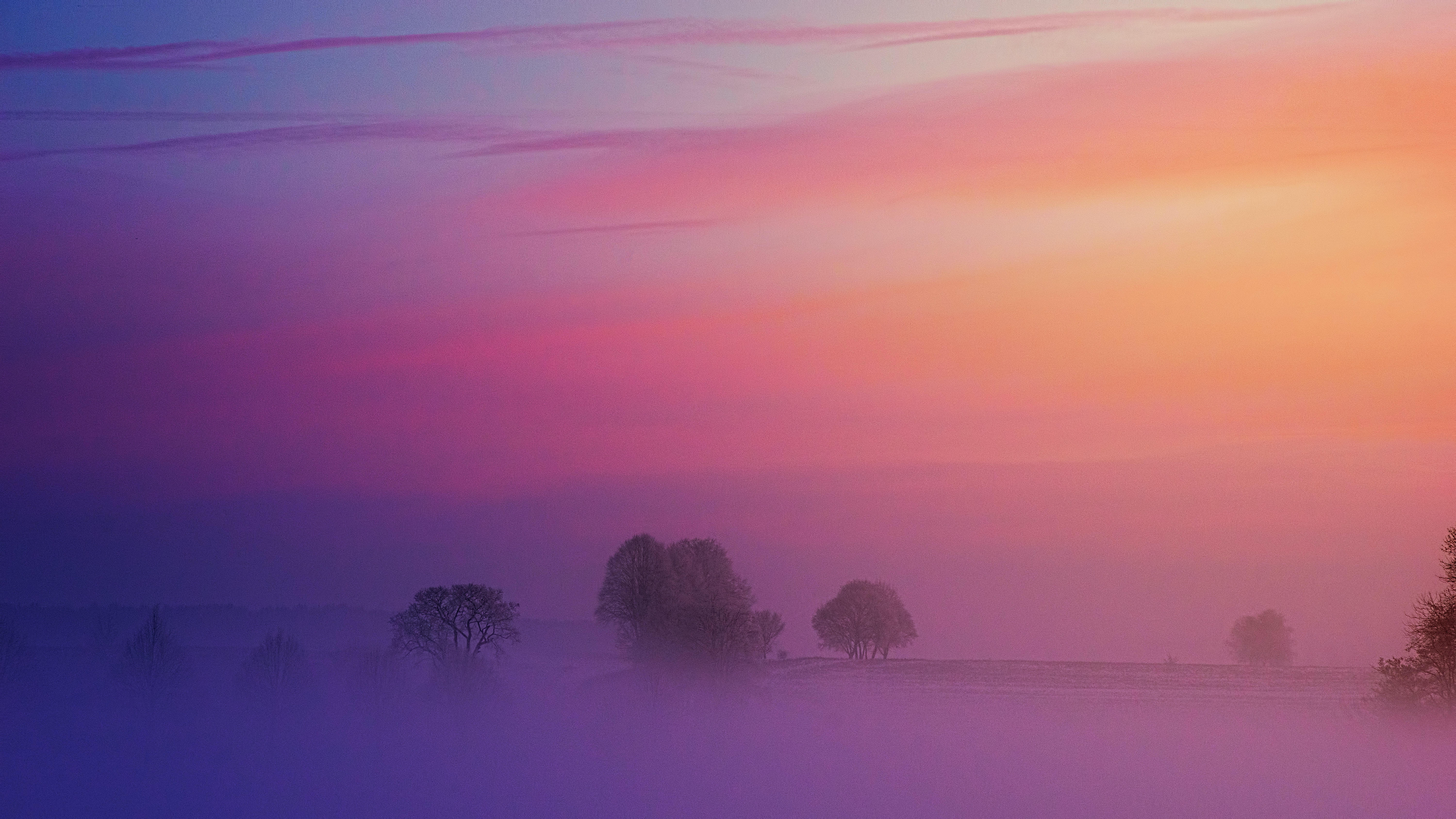 Misty Pink Sunset Wallpapers