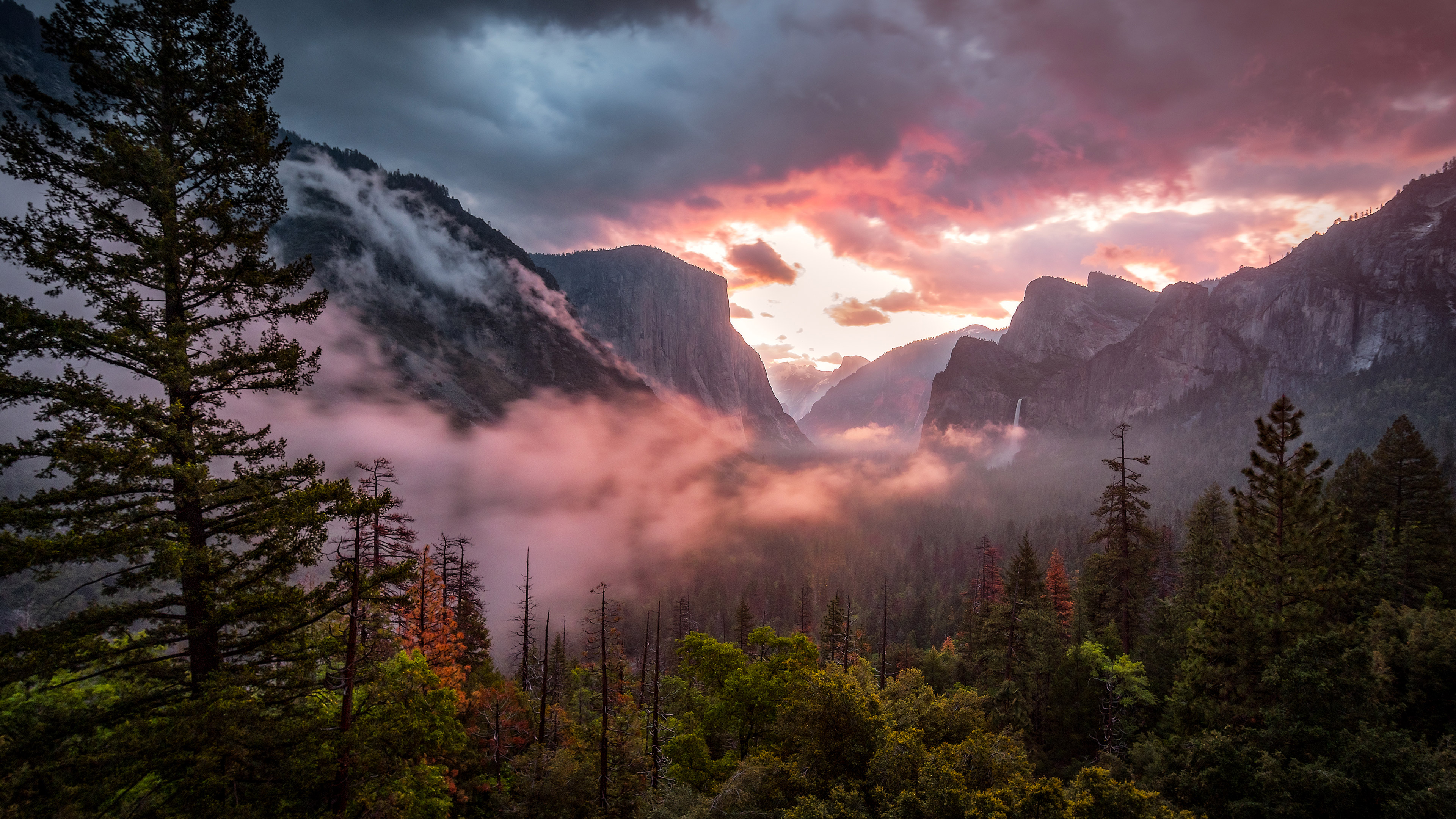 Misty Yosemite Wallpapers