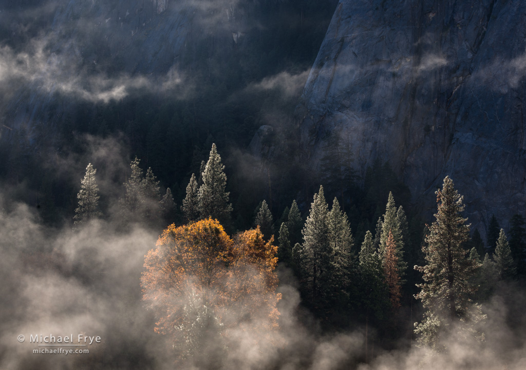 Misty Yosemite Wallpapers