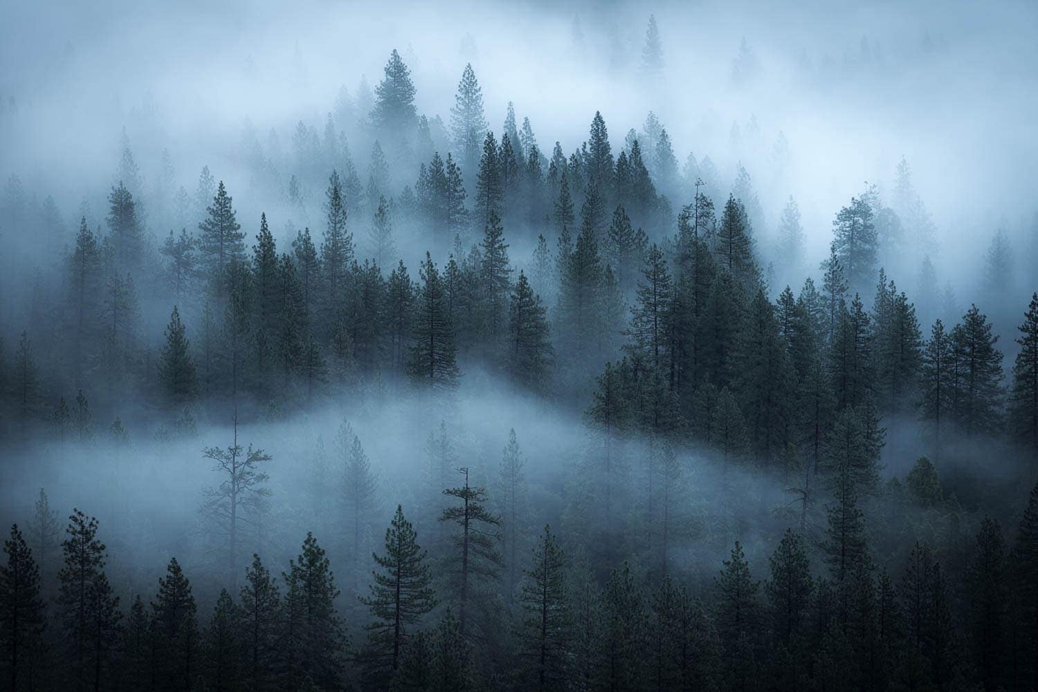 Misty Yosemite Wallpapers