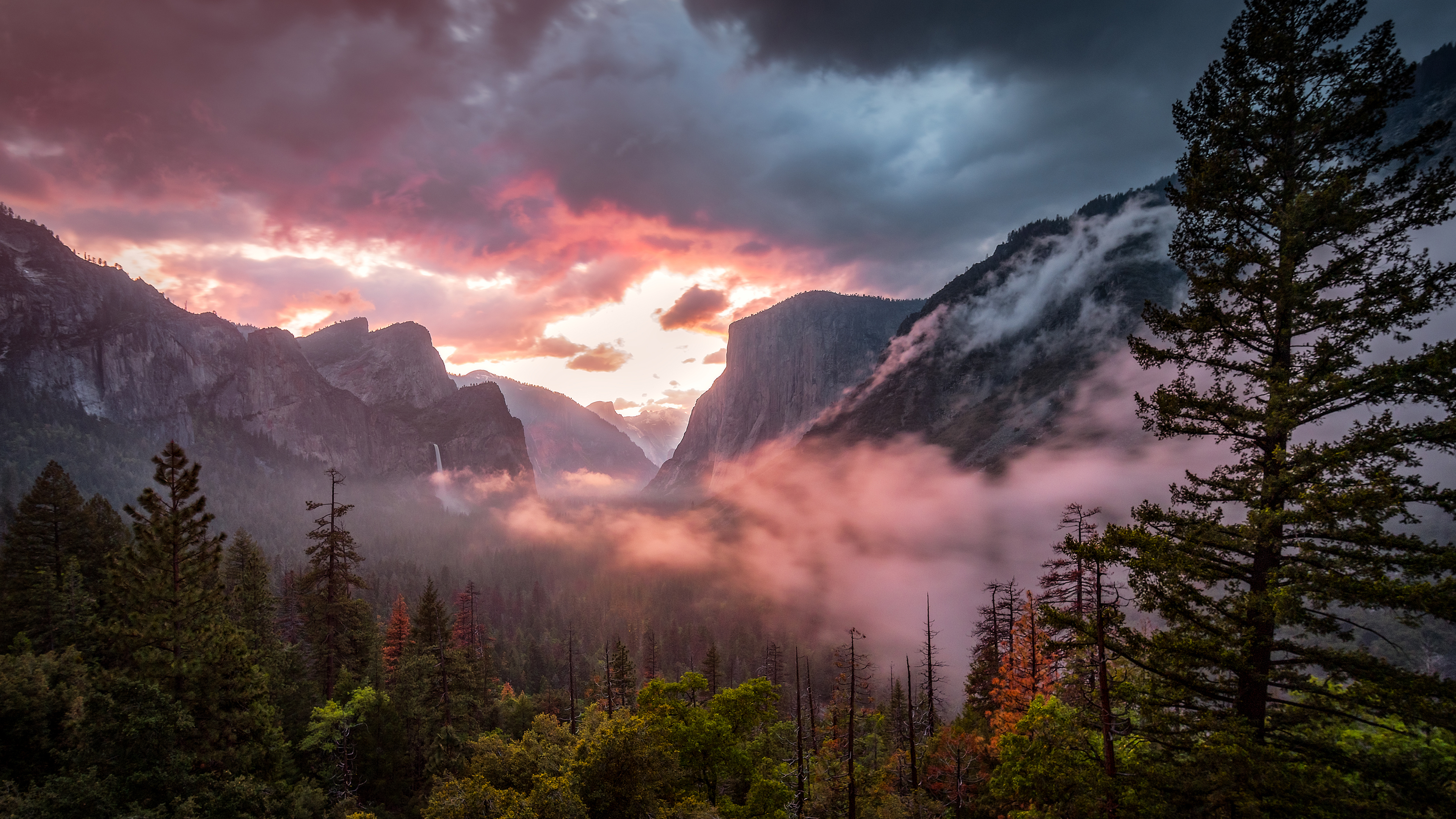 Misty Yosemite Wallpapers