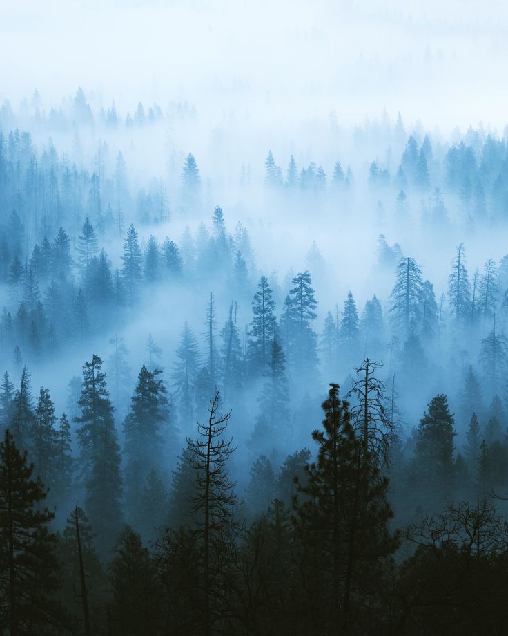 Misty Yosemite Wallpapers