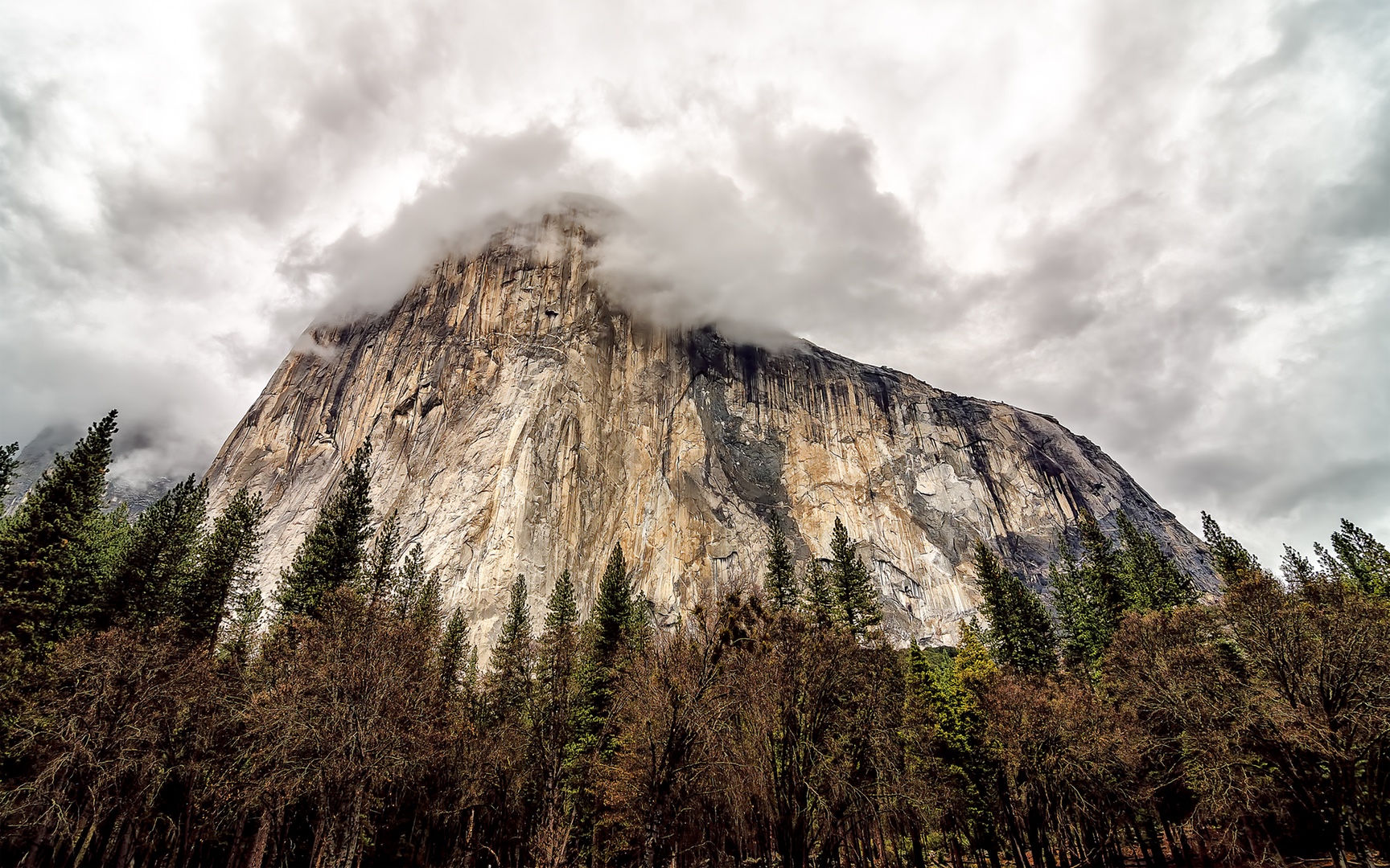 Misty Yosemite Wallpapers