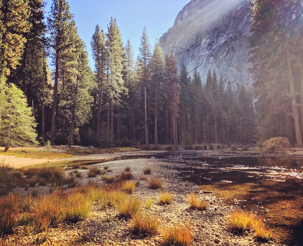 Misty Yosemite Wallpapers