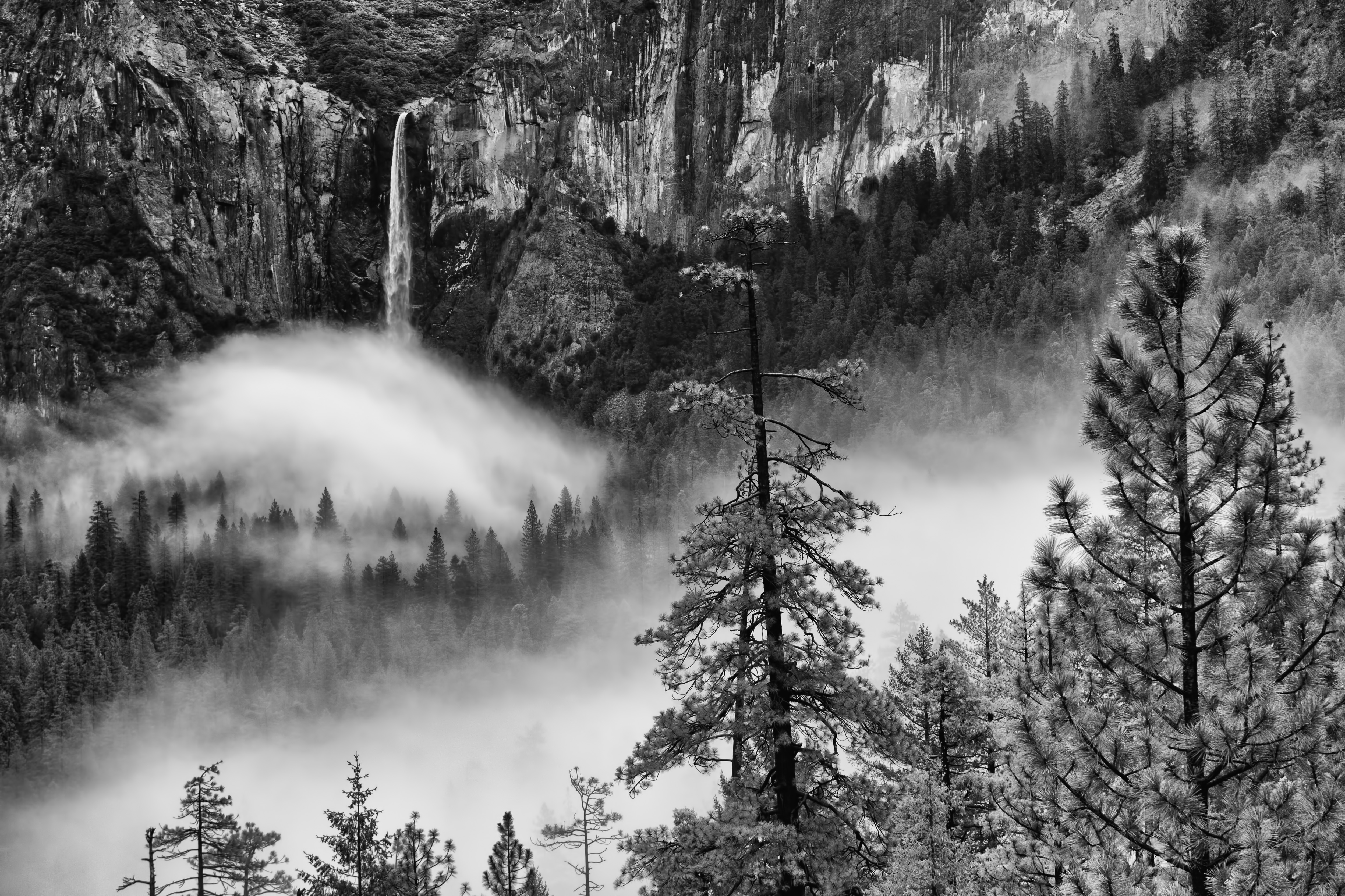 Misty Yosemite Wallpapers