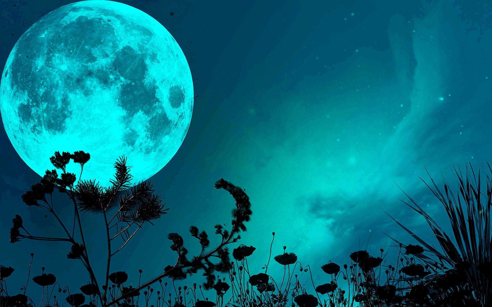 Moon Hd Wallpapers