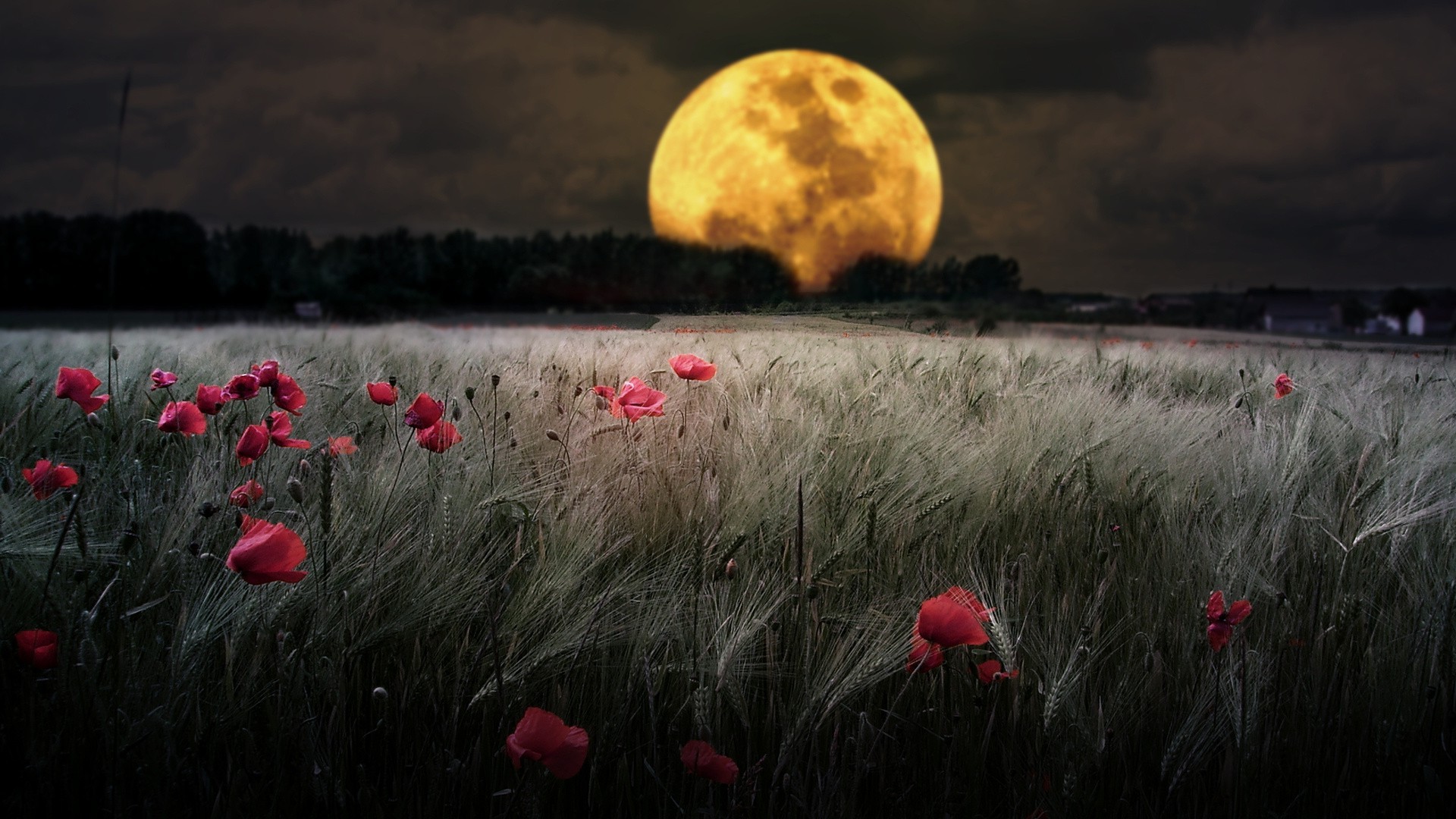 Moon Nature Wallpapers