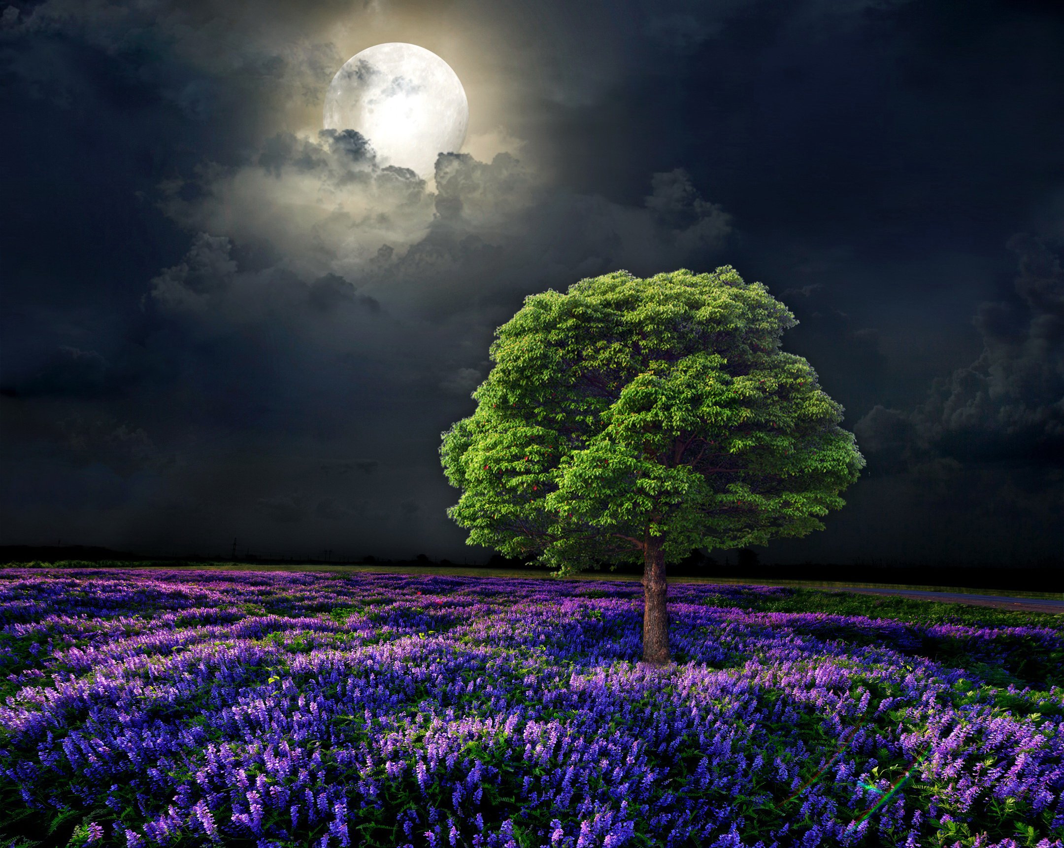 Moon Night Hd Landscape Wallpapers