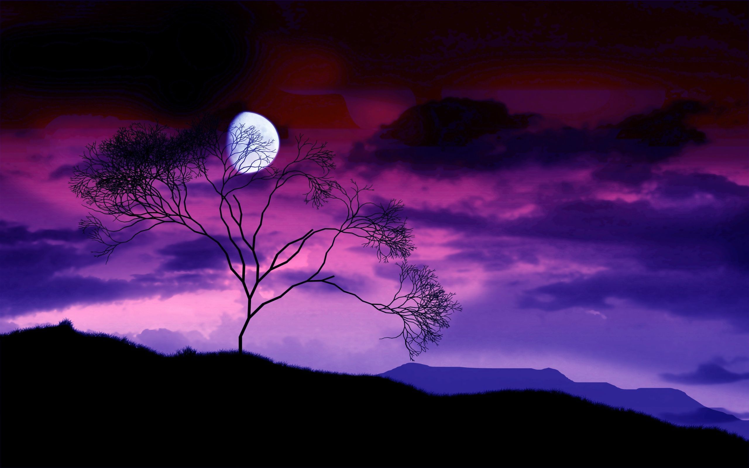 Moon Night Hd Wallpapers