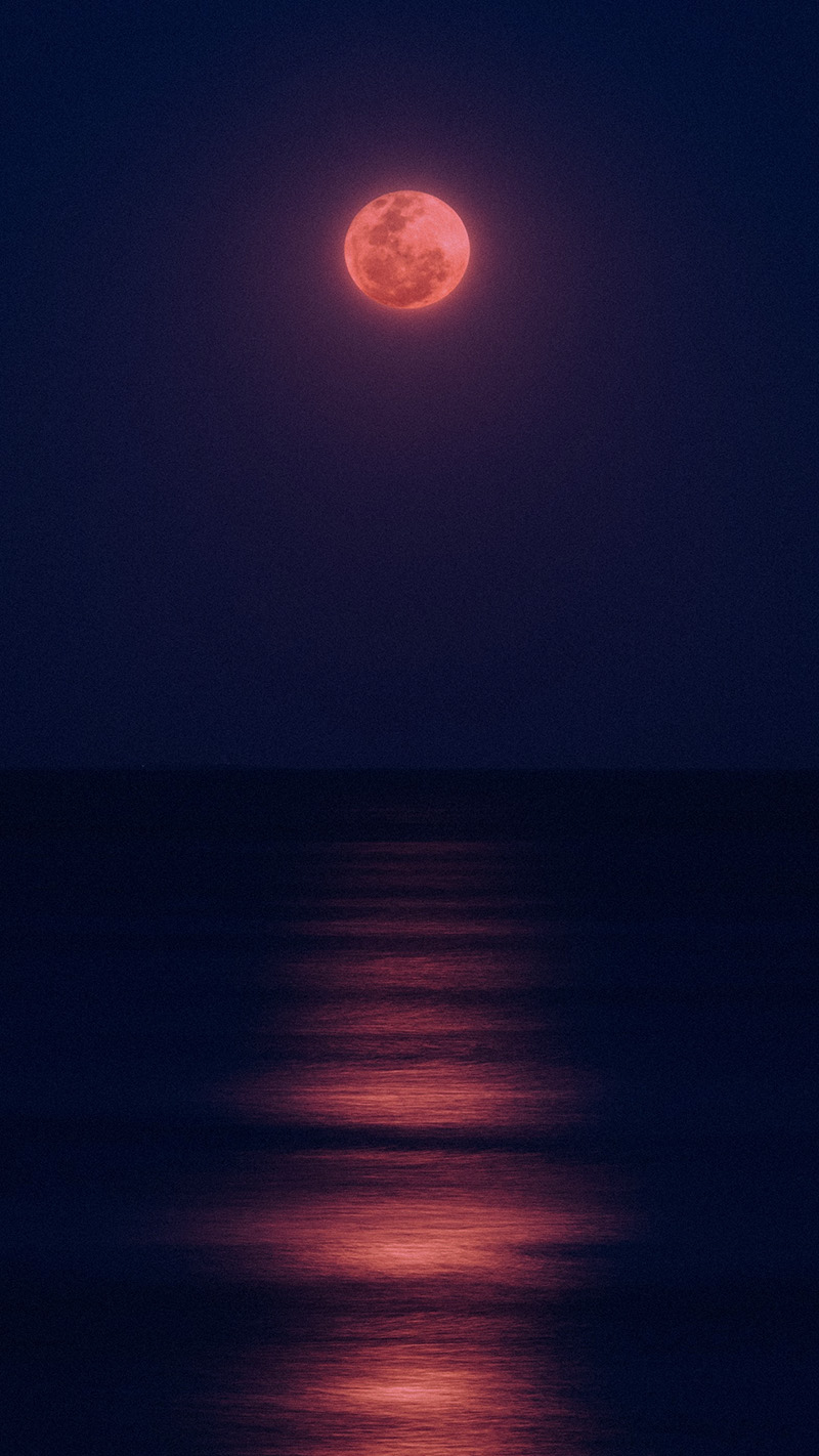 Moonlight Wallpapers