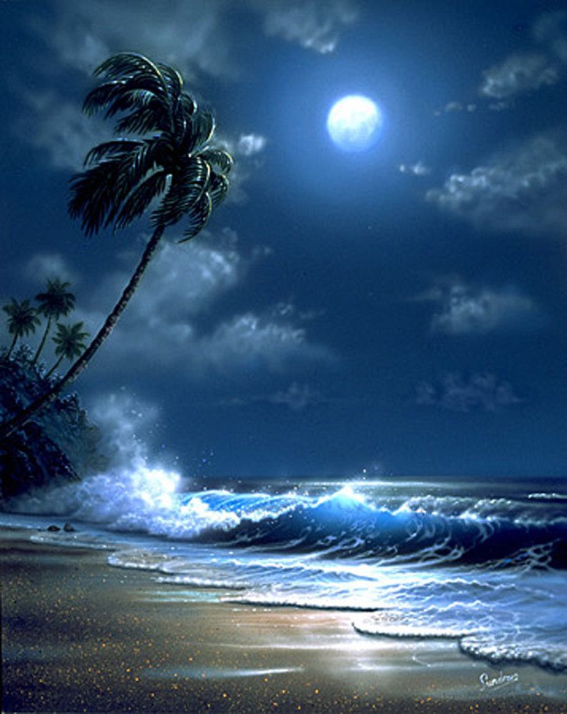 Moonlight Beach Wallpapers