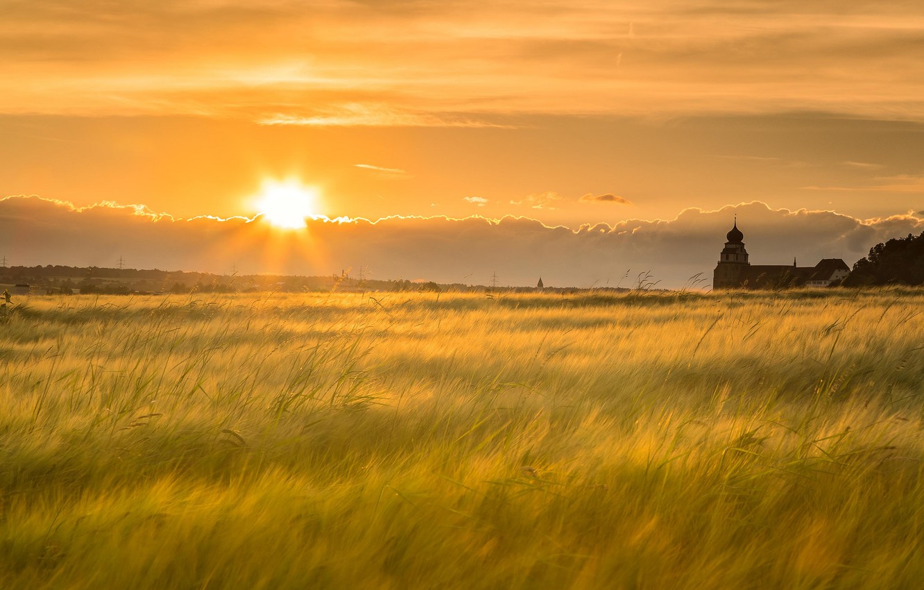 Morning Field Wallpapers