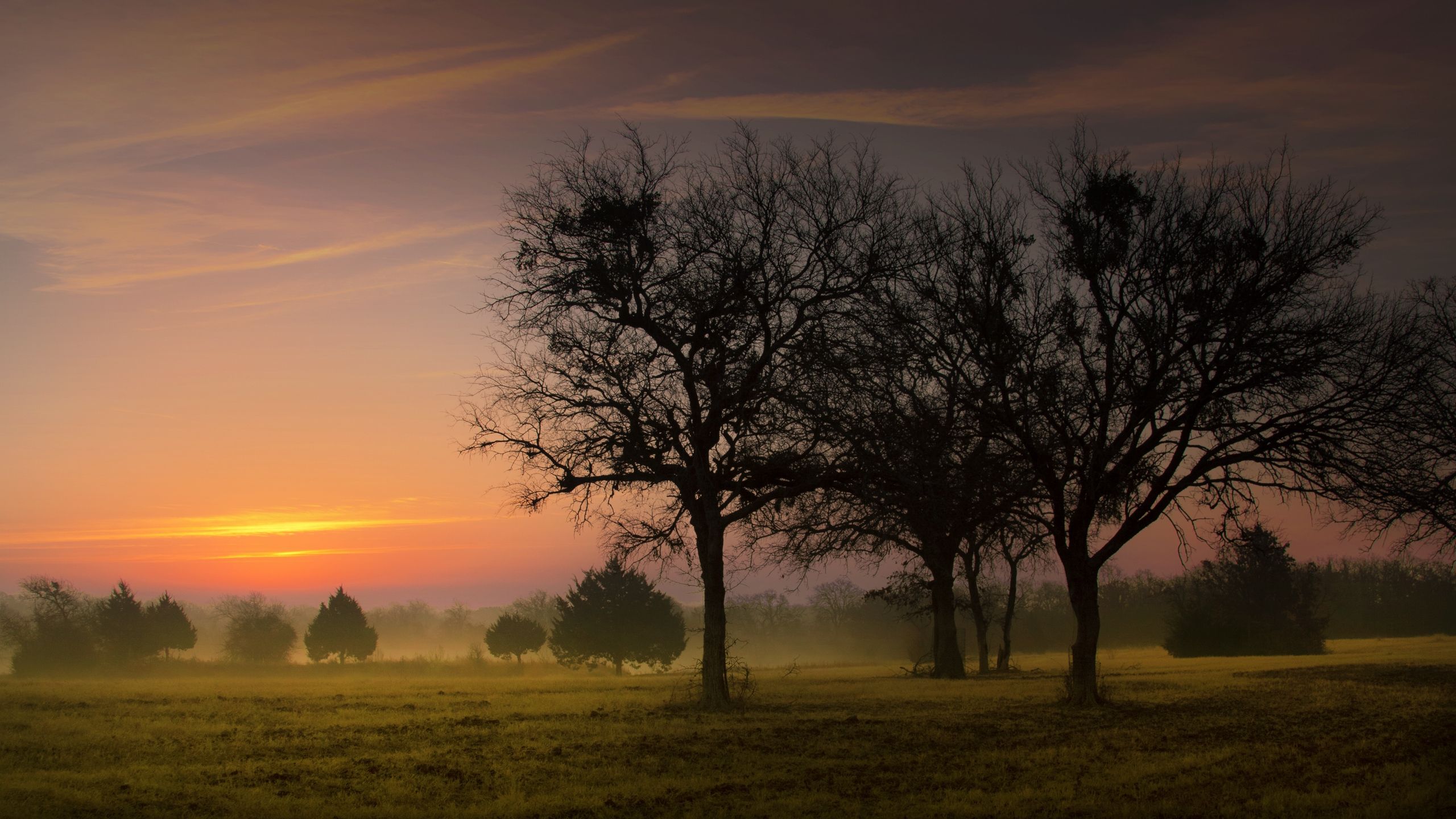 Morning Field Wallpapers