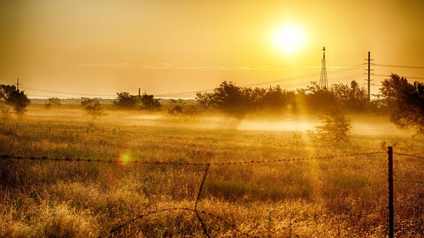 Morning Field Wallpapers