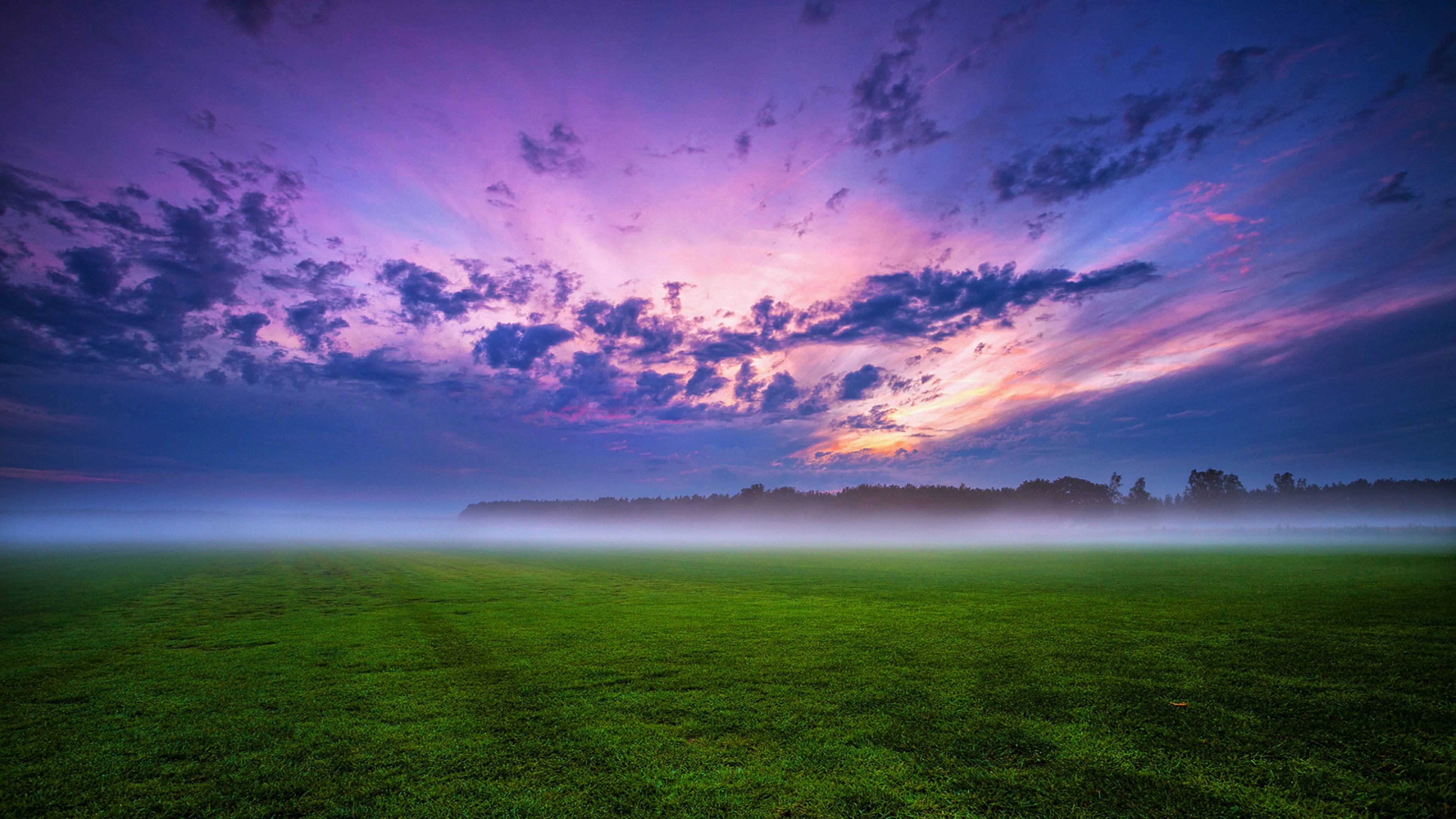 Morning Field Wallpapers