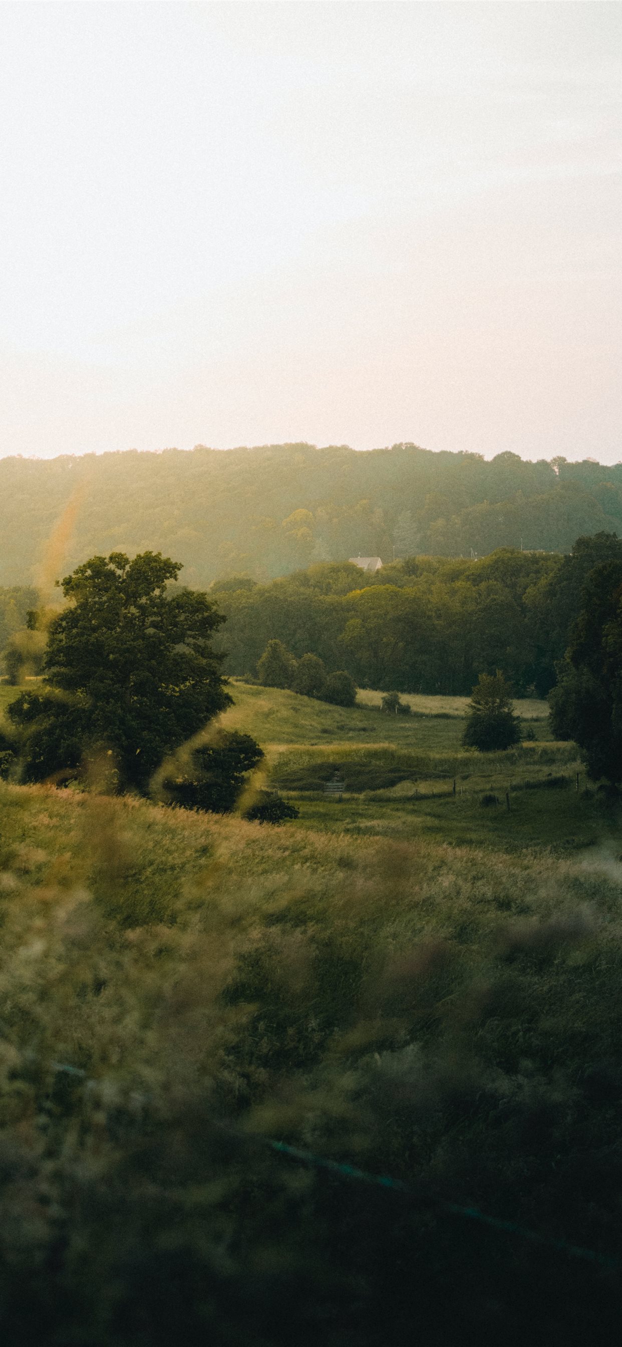 Morning Field Wallpapers