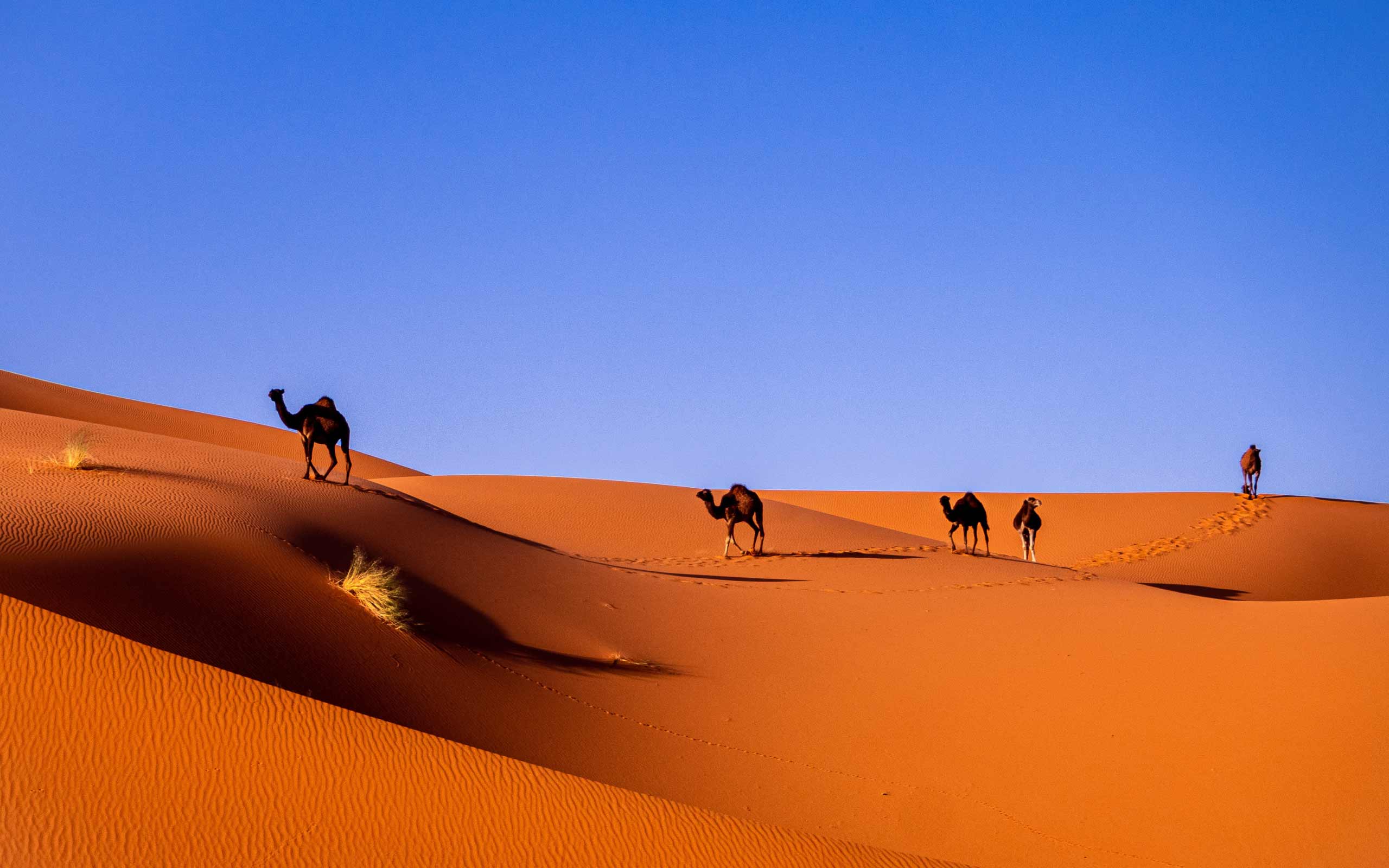 Morocco Desert Wallpapers