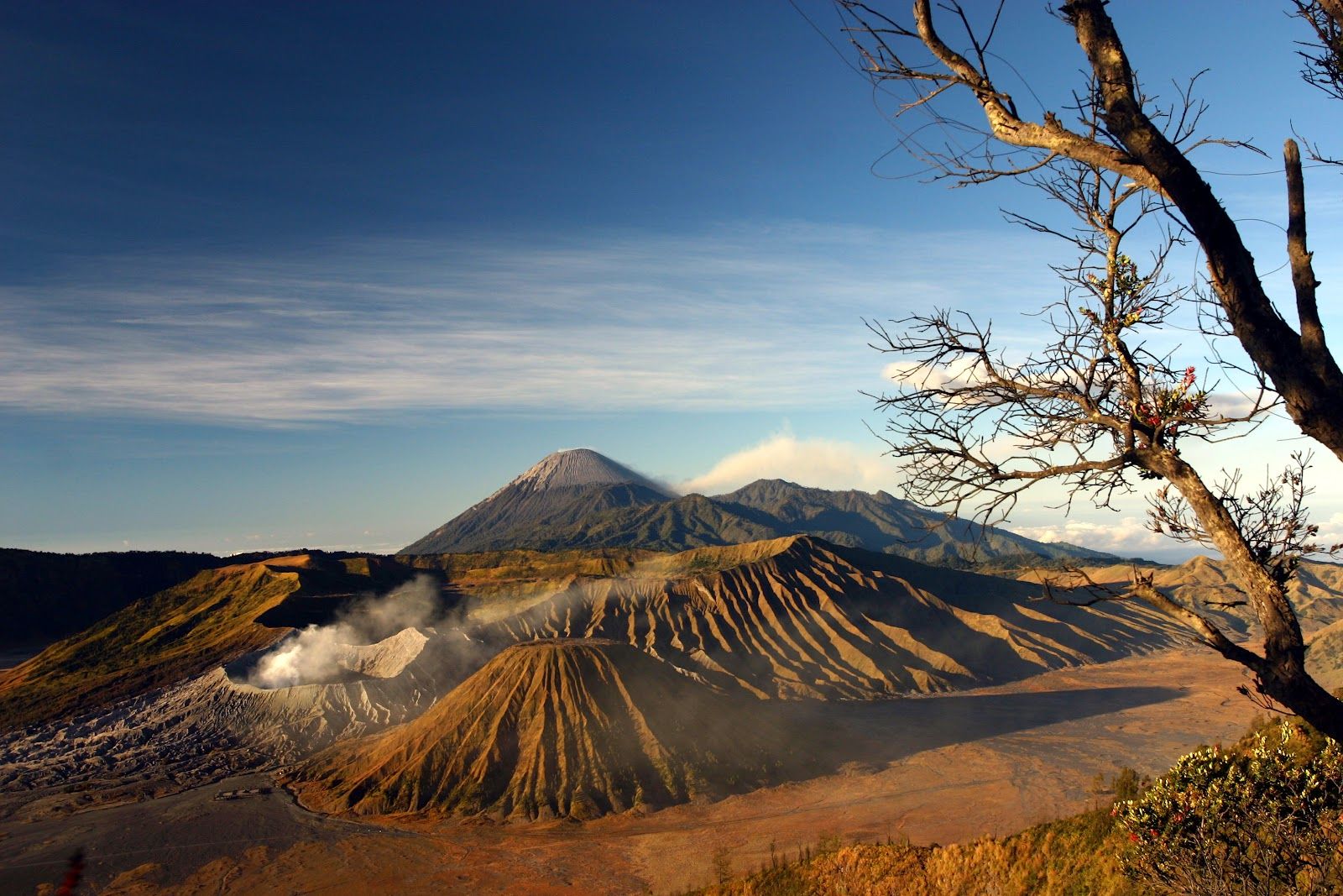 Mount Bromo Wallpapers