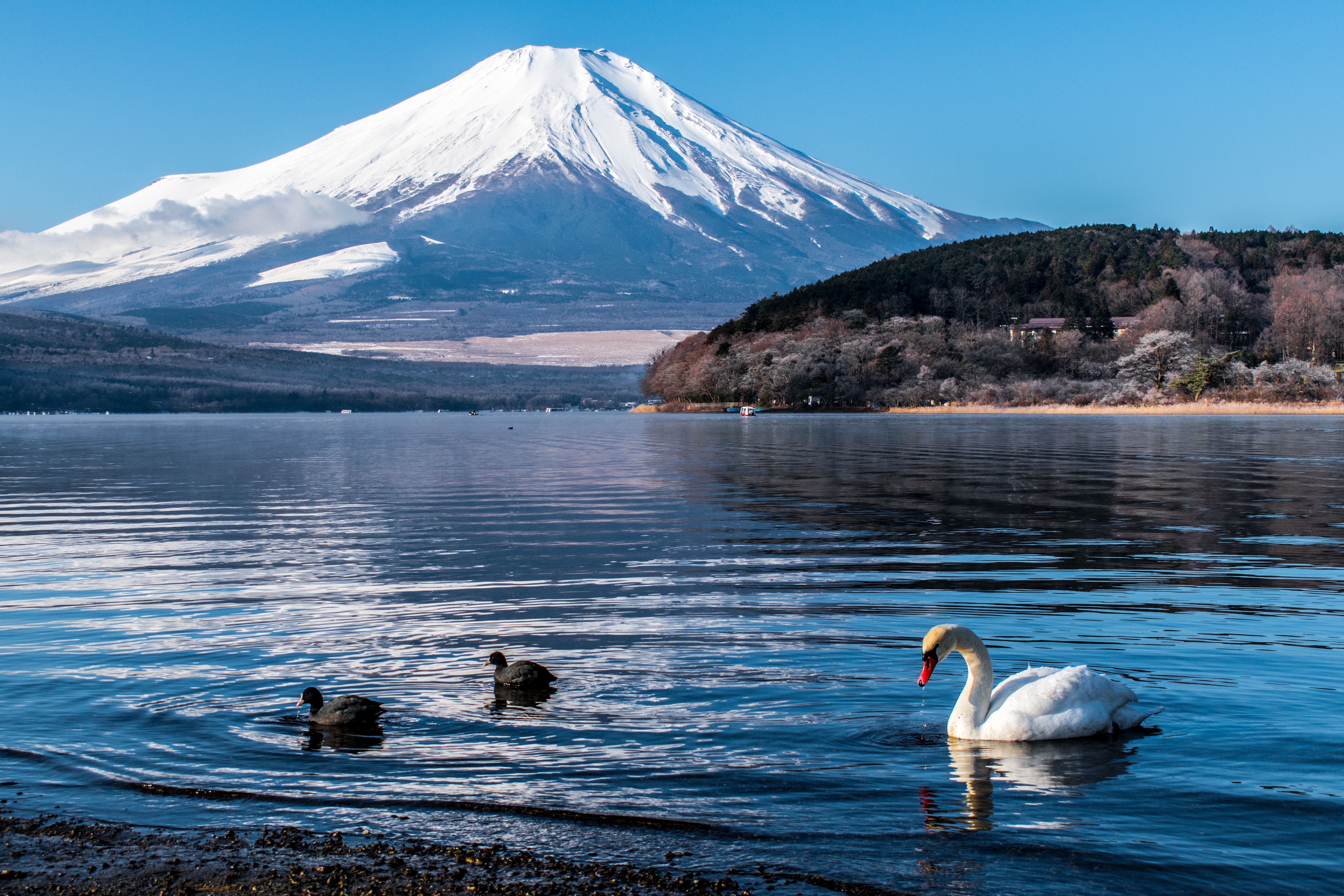 Mount Fuji 4K Wallpapers