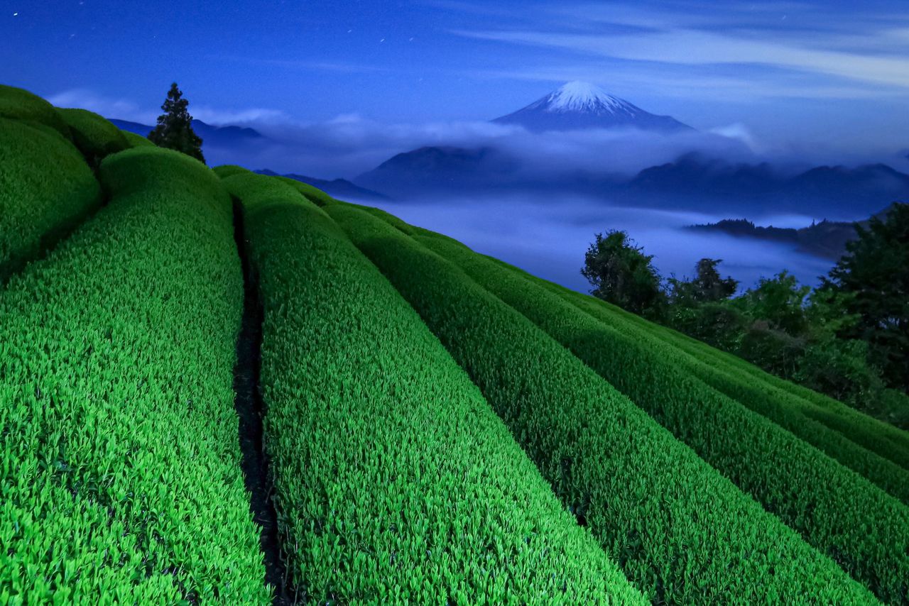 Mount Fuji Beautiful Shot Wallpapers