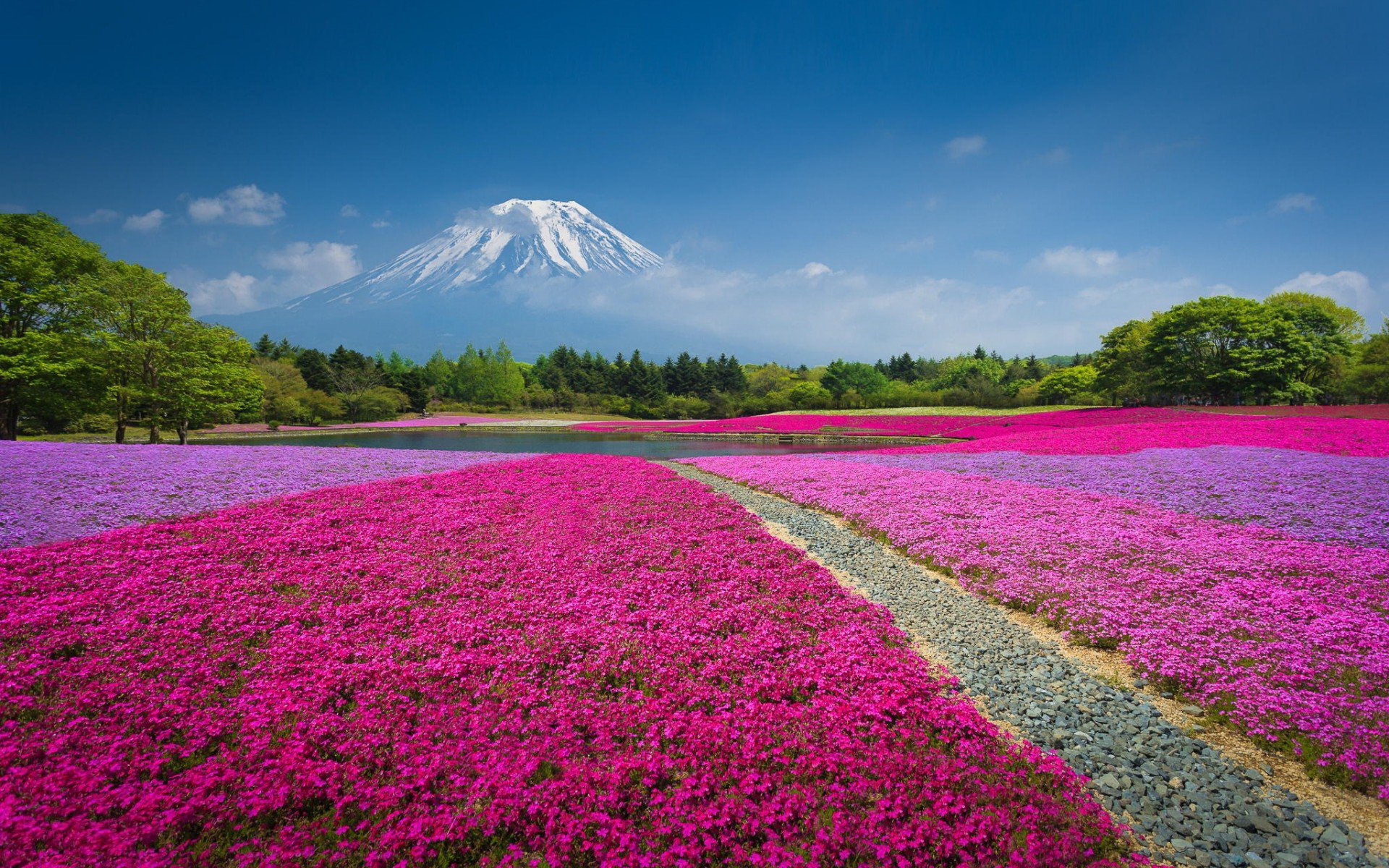 Mount Fuji Nightscape Wallpapers