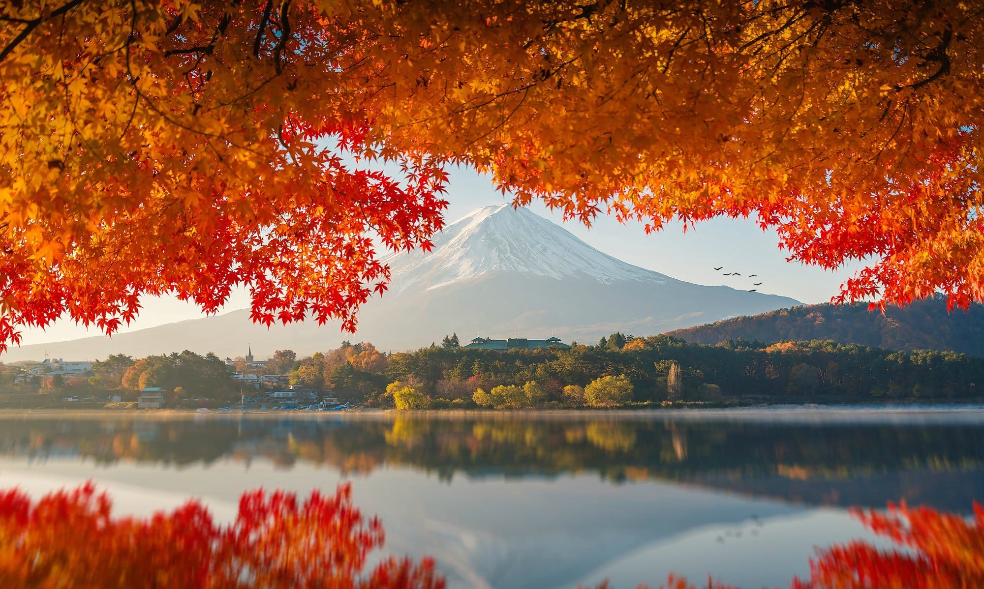 Mount Fuji Sunrise Wallpapers