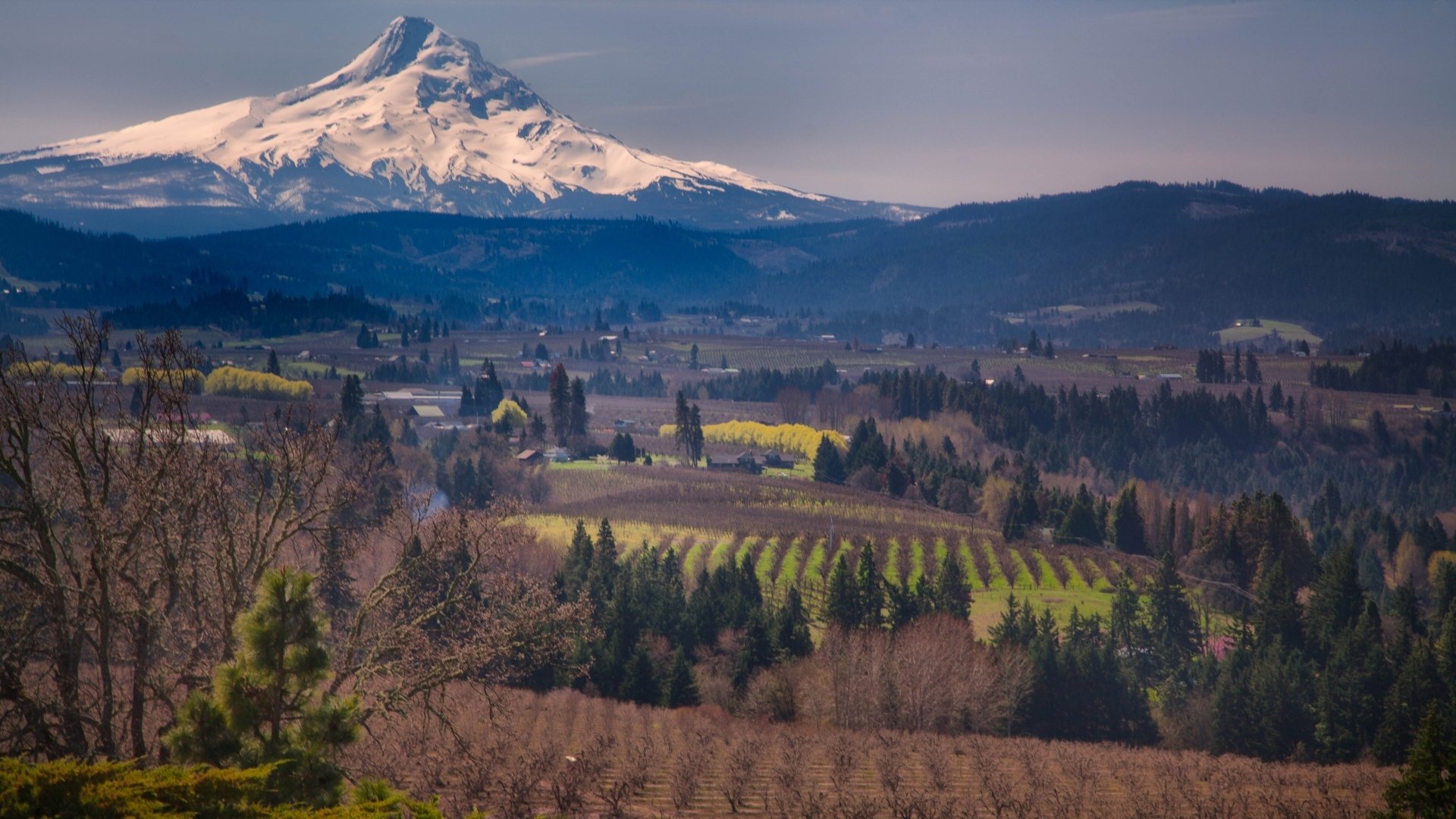 Mount Hood Wallpapers