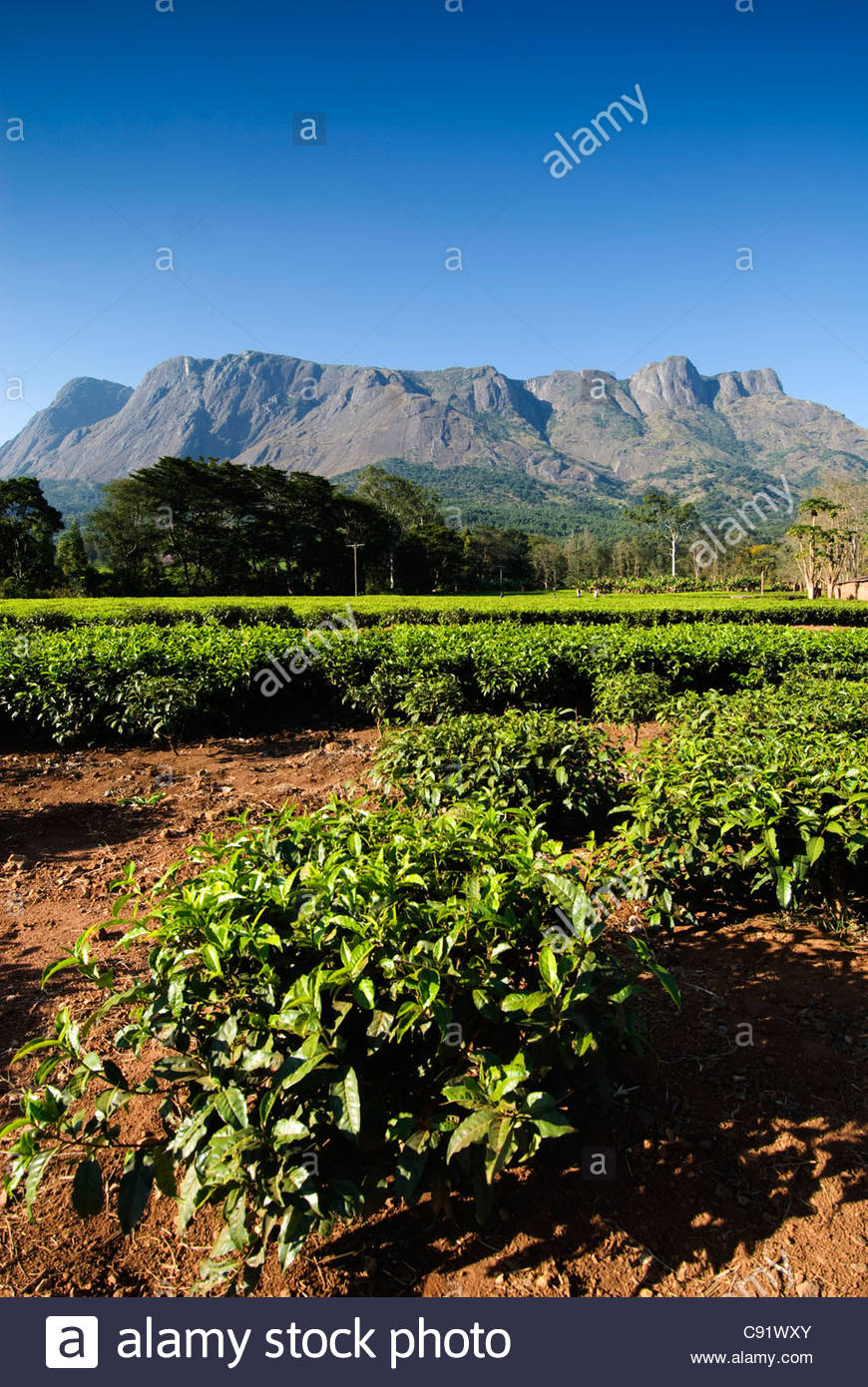 Mount Mulanje Wallpapers