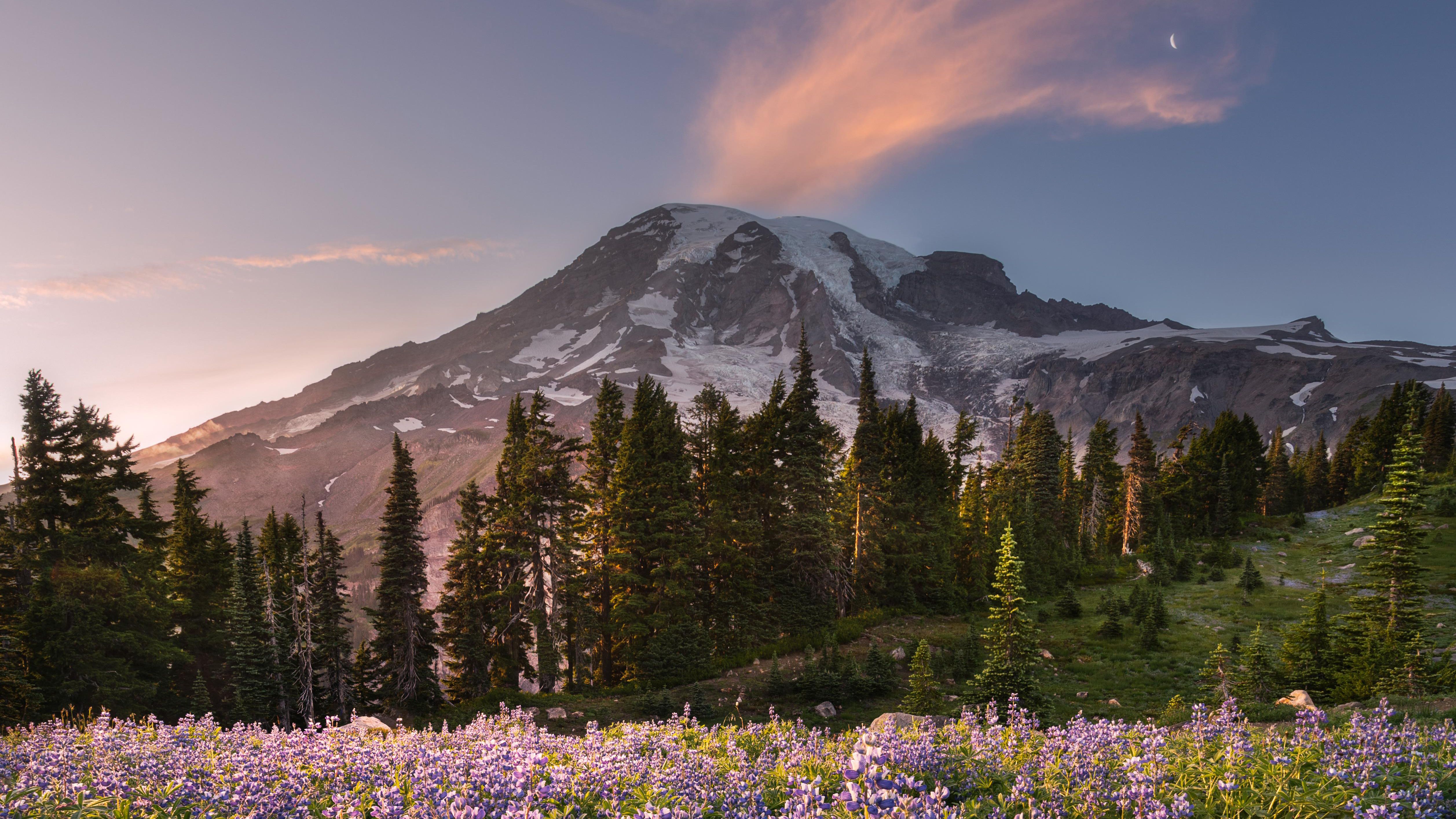 Mount Rainier Wallpapers