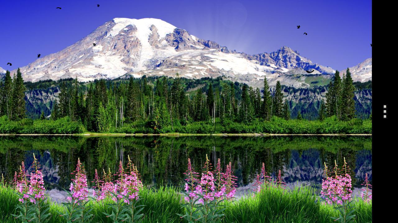 Mount Rainier Wallpapers