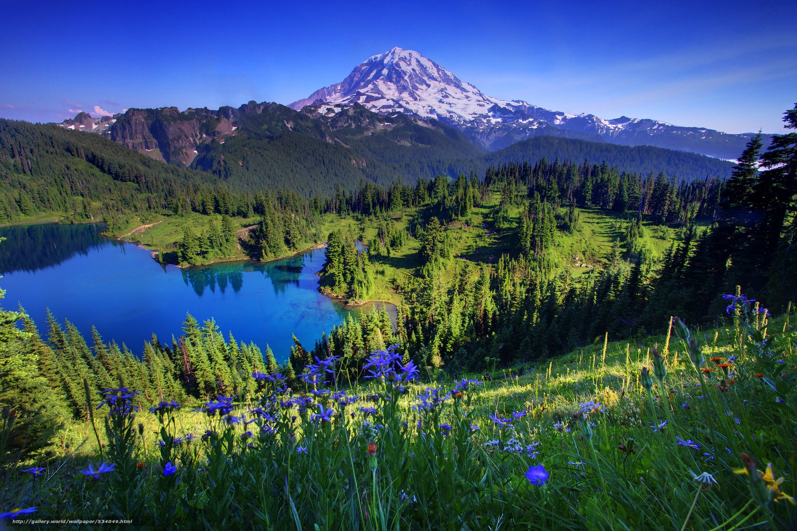 Mount Rainier Wallpapers