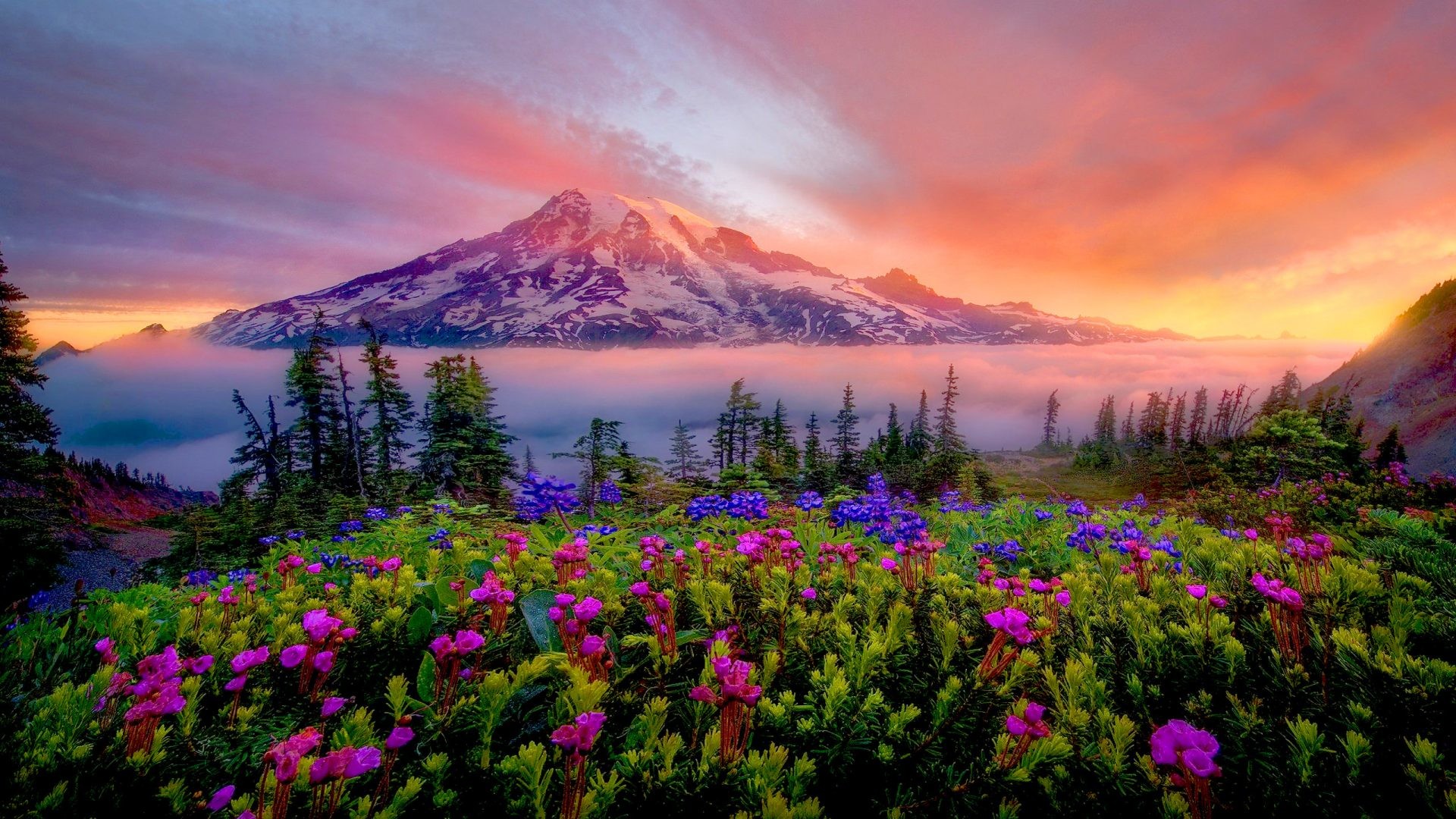 Mount Rainier Wallpapers