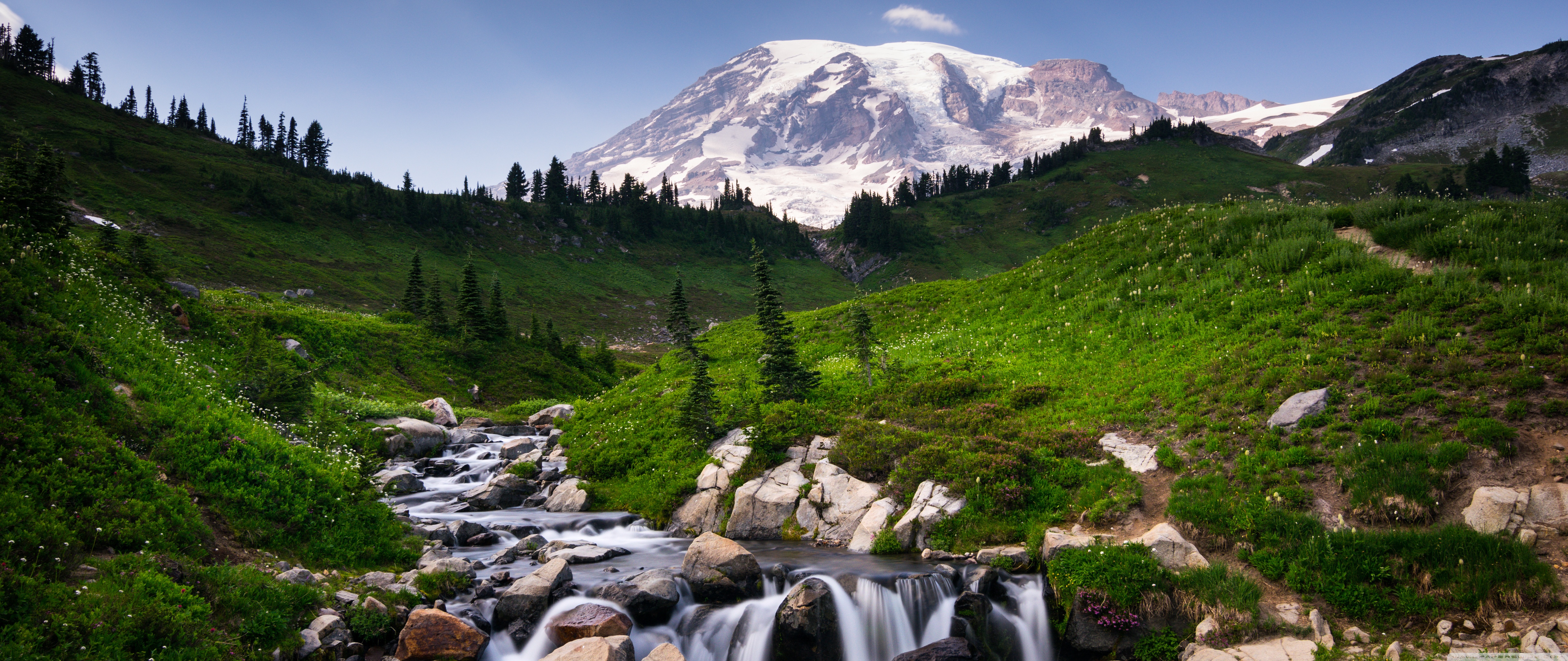 Mount Rainier Wallpapers