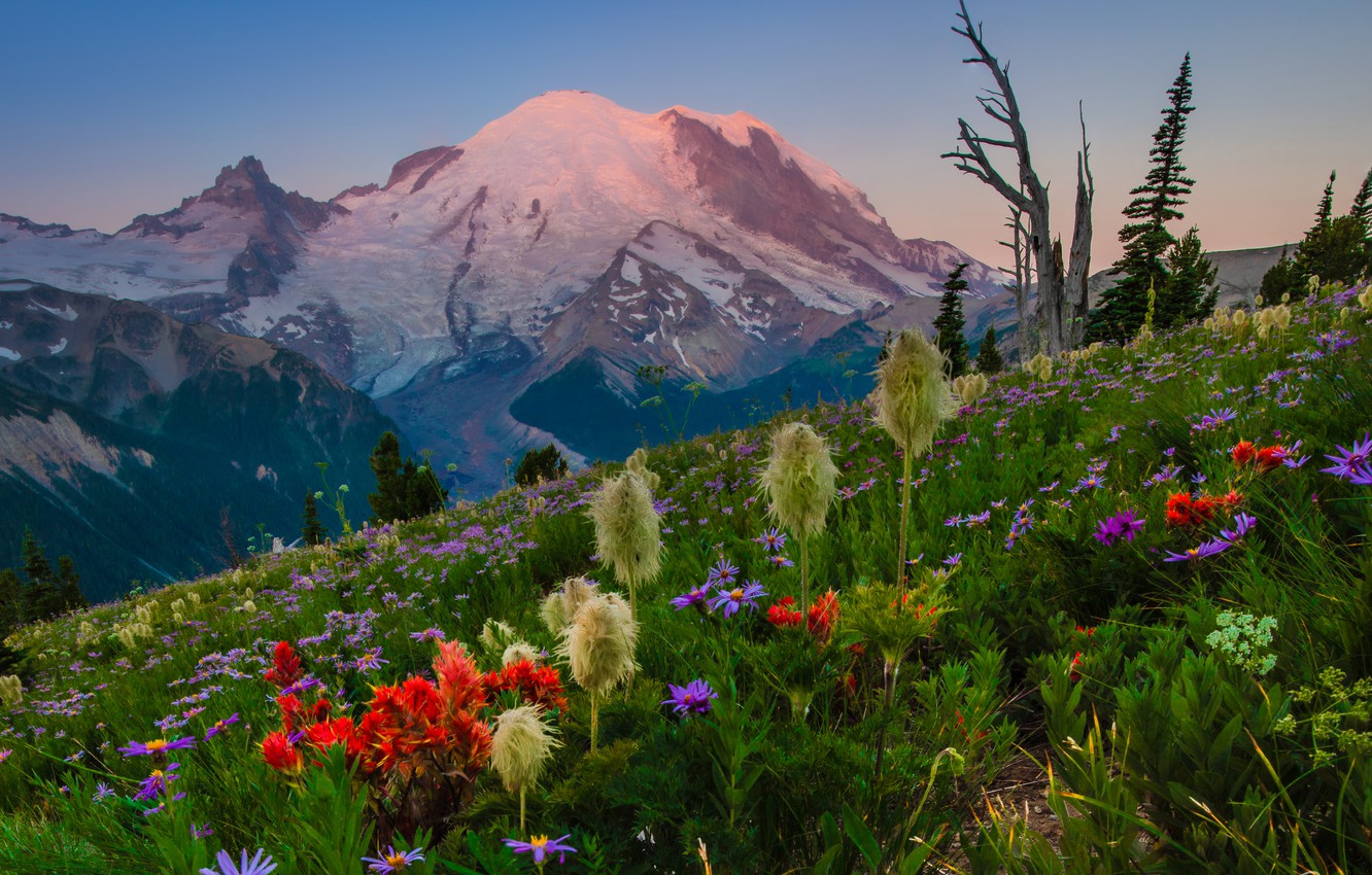 Mount Rainier Wallpapers