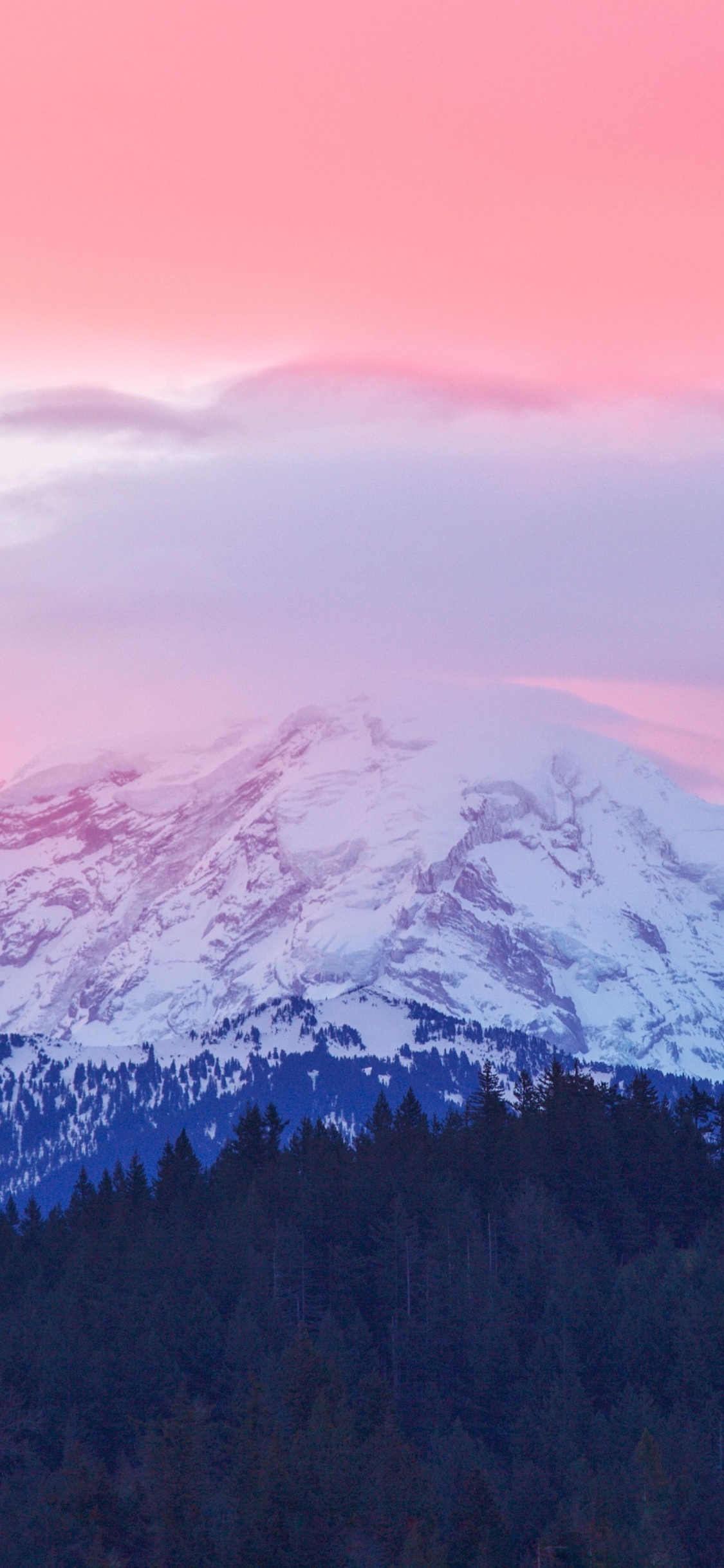 Mount Rainier Wallpapers