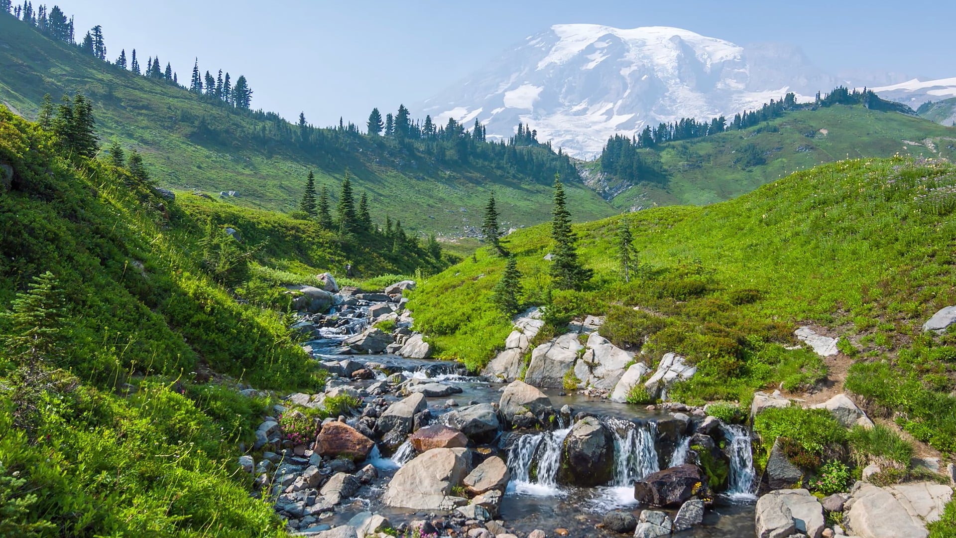 Mount Rainier 4K Wallpapers