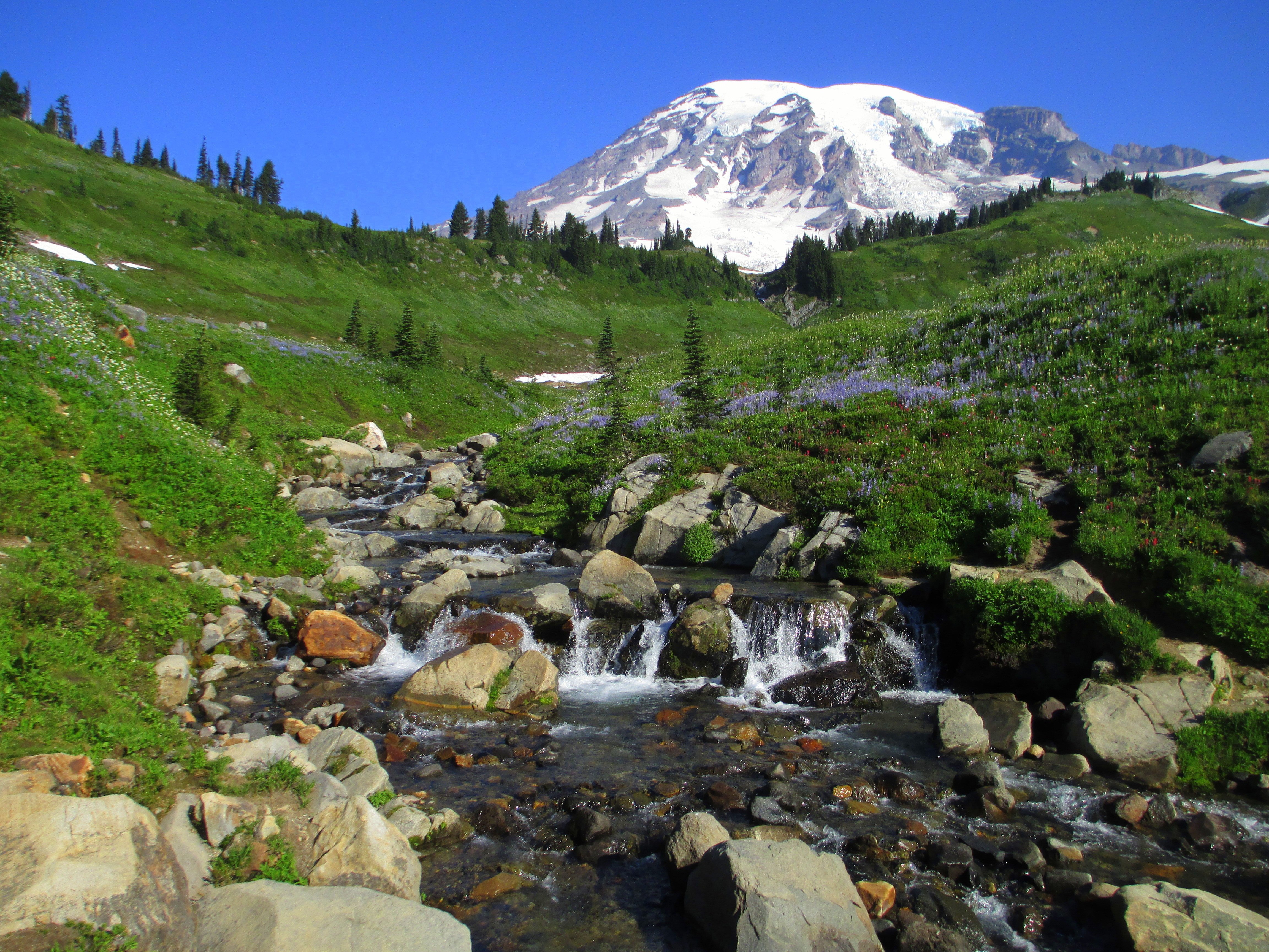 Mount Rainier 4K Wallpapers