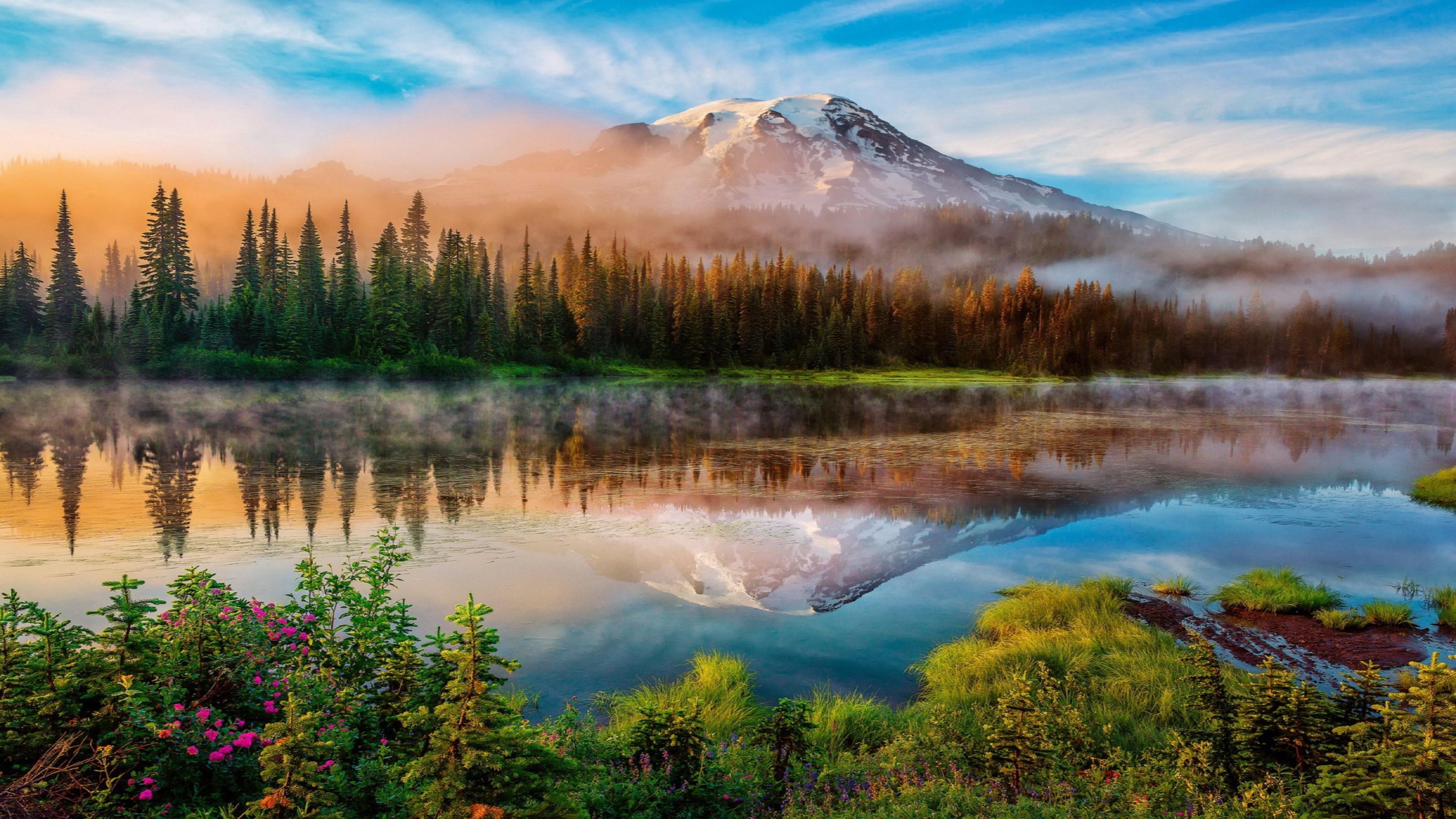 Mount Rainier 4K Wallpapers