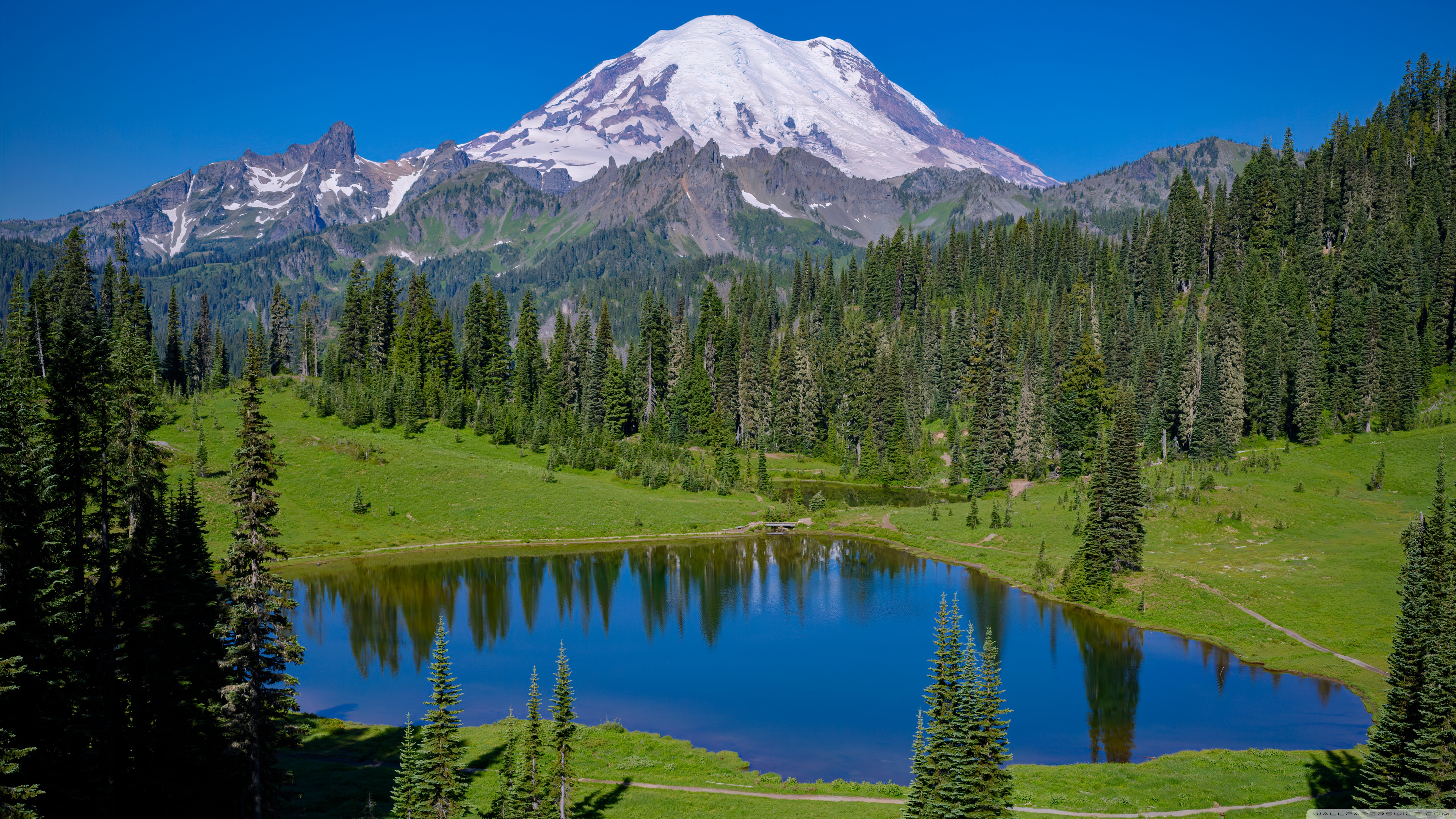 Mount Rainier 4K Wallpapers