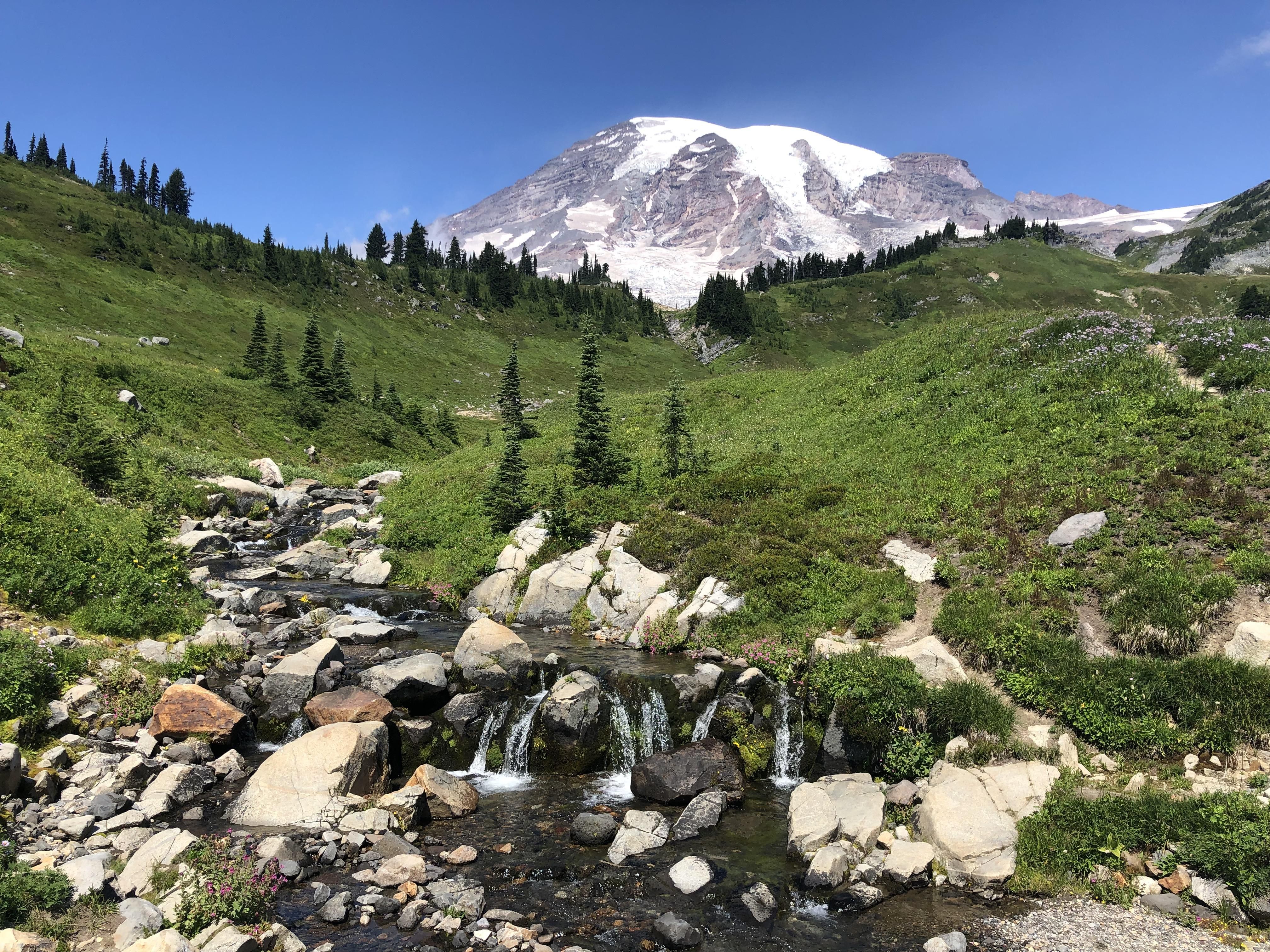 Mount Rainier 4K Wallpapers