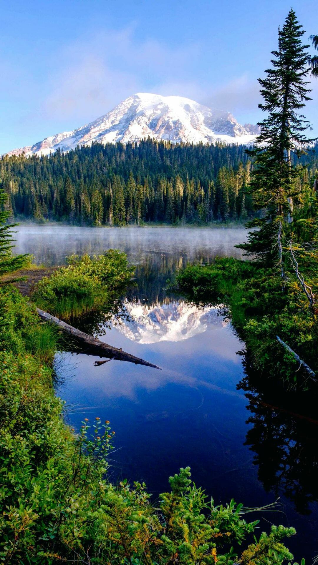 Mount Rainier 4K Wallpapers