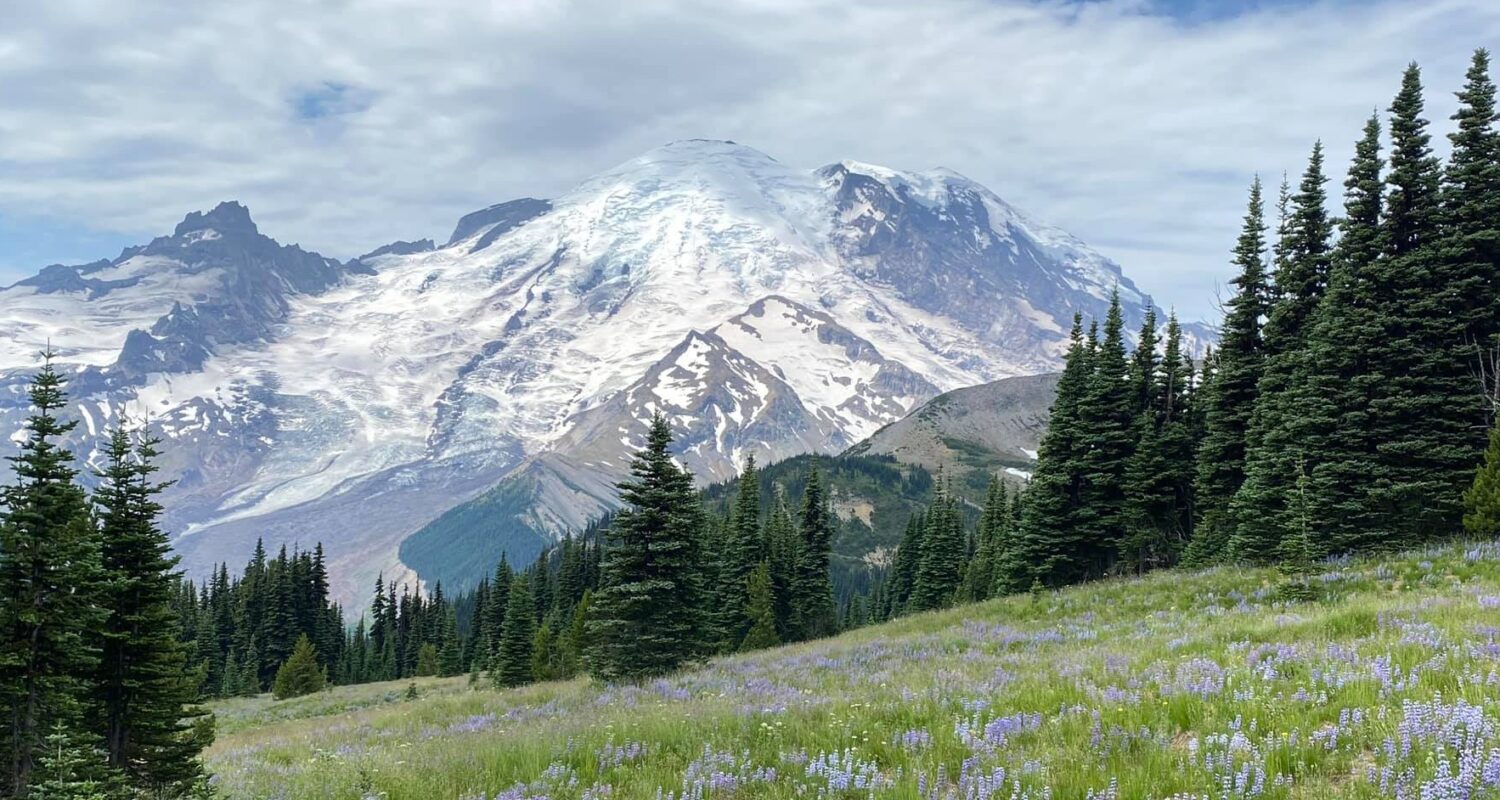 Mount Rainier 4K Wallpapers