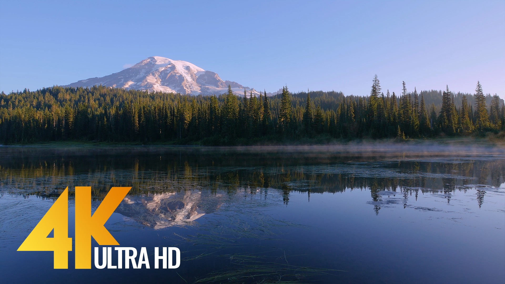 Mount Rainier 4K Wallpapers