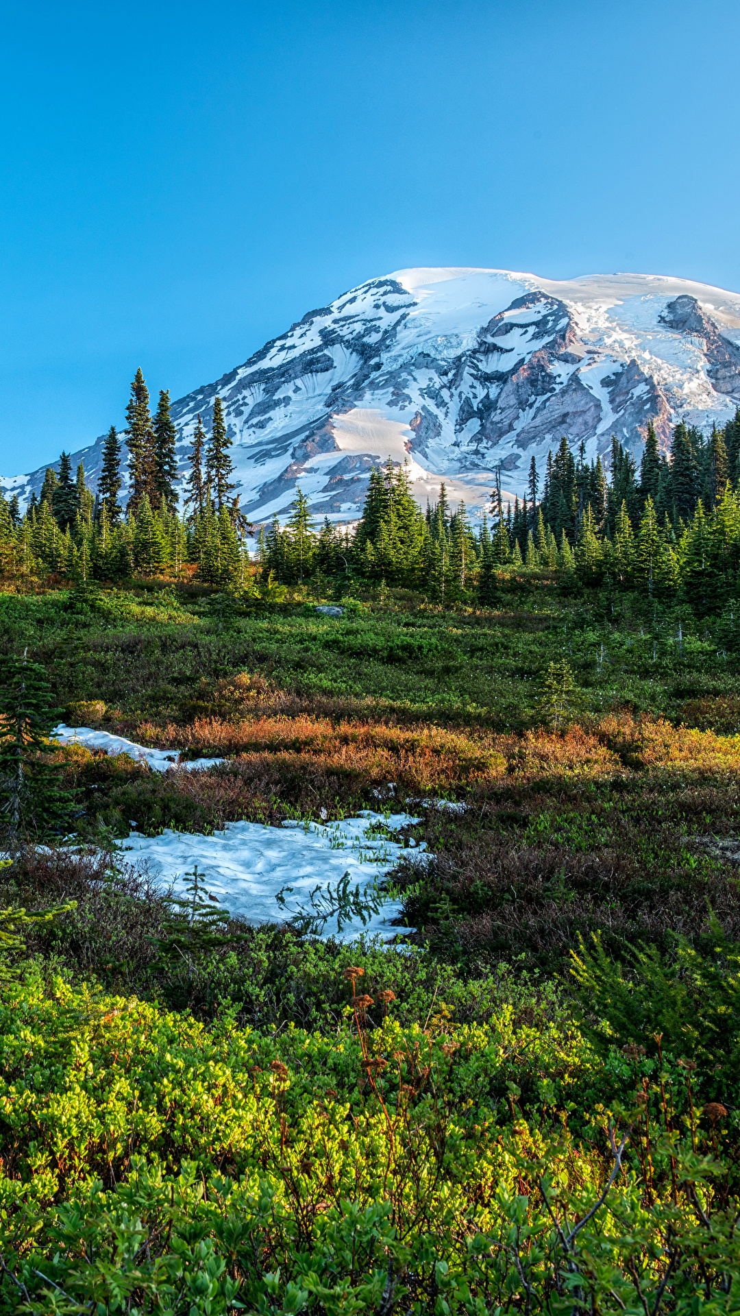 Mount Rainier National Park Wallpapers